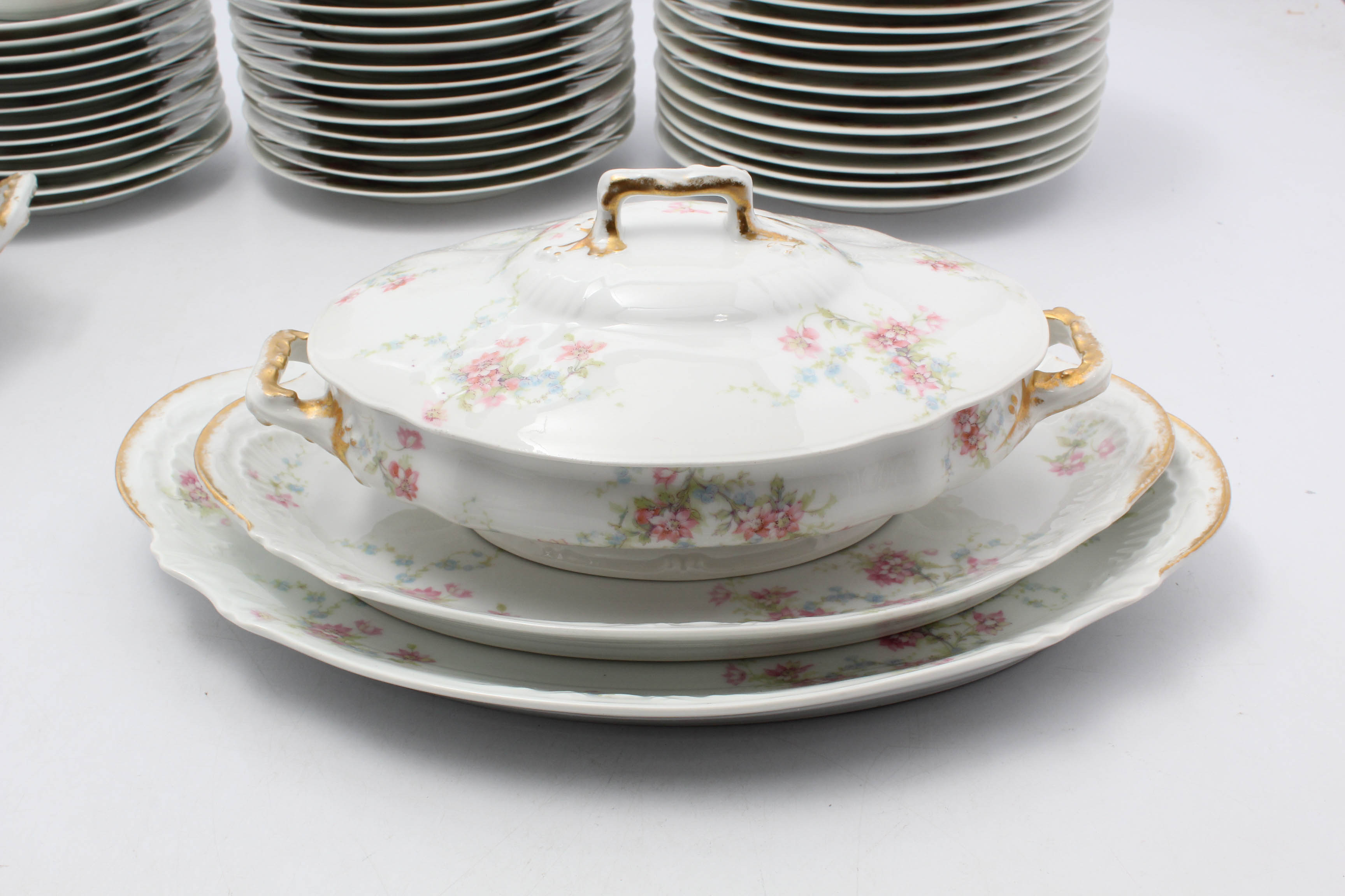 Theodore Haviland Limoges Dinnerware Set for Twelve