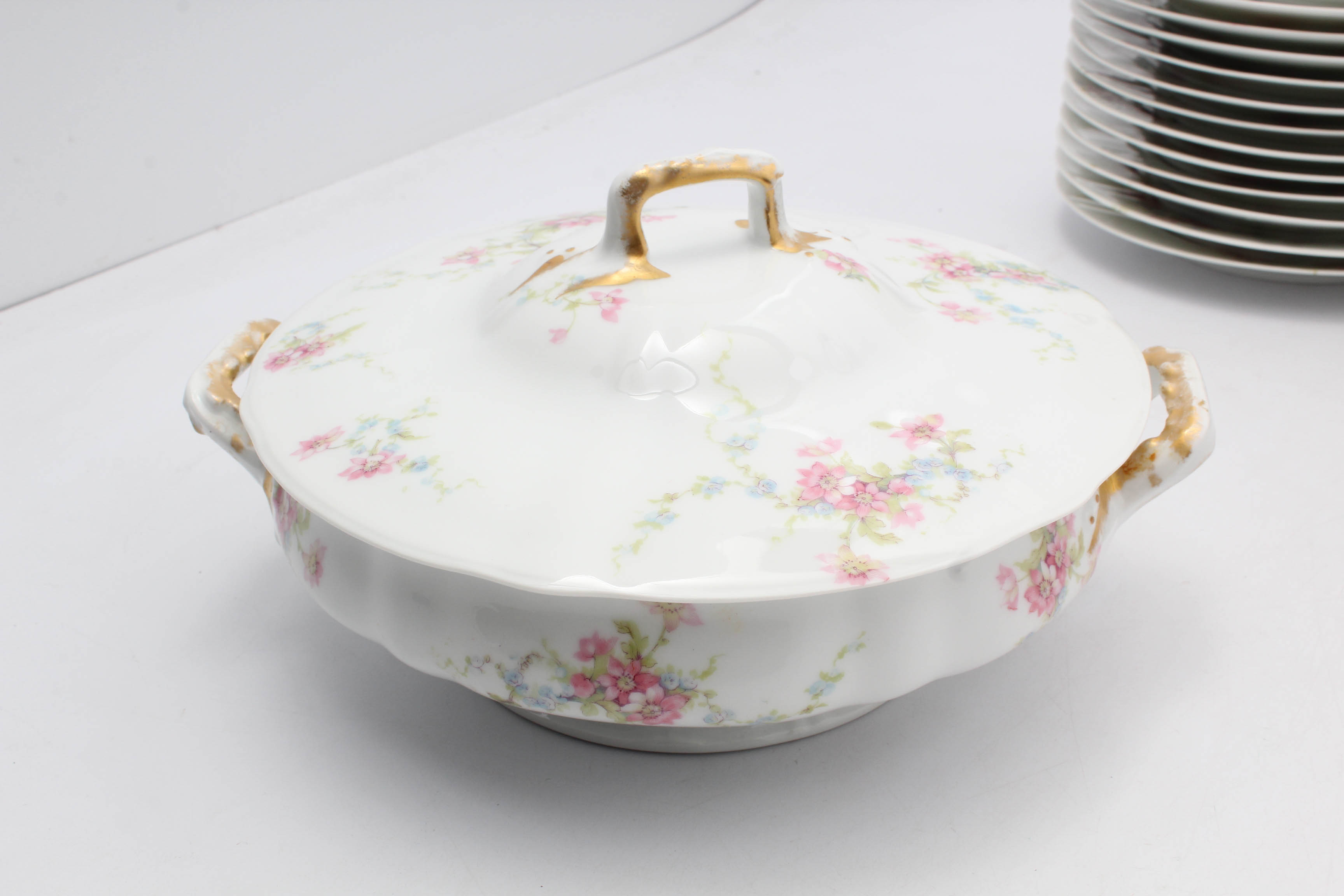 Theodore Haviland Limoges Dinnerware Set for Twelve