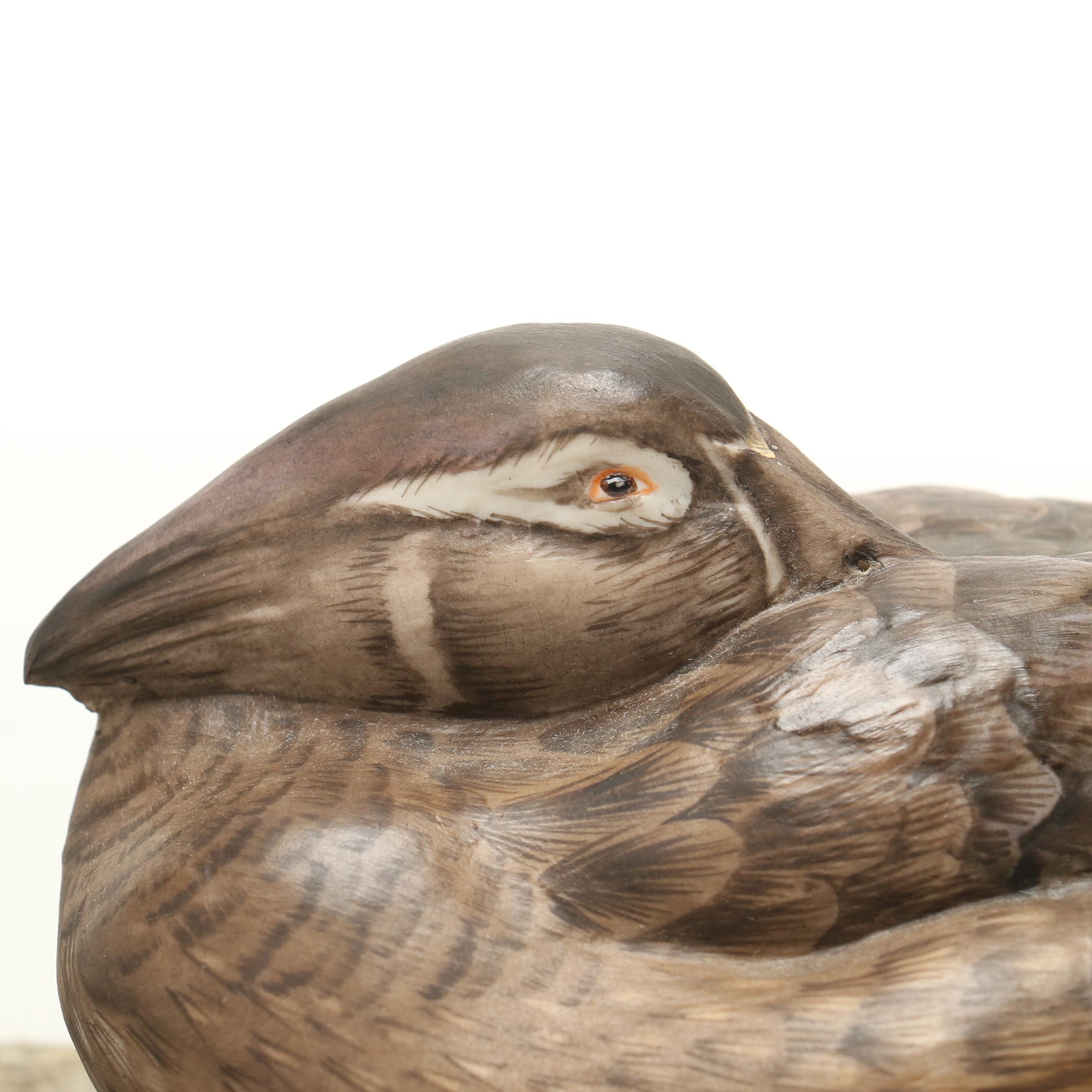 William Turner Wildlife Art Limited Porcelain Sculpture