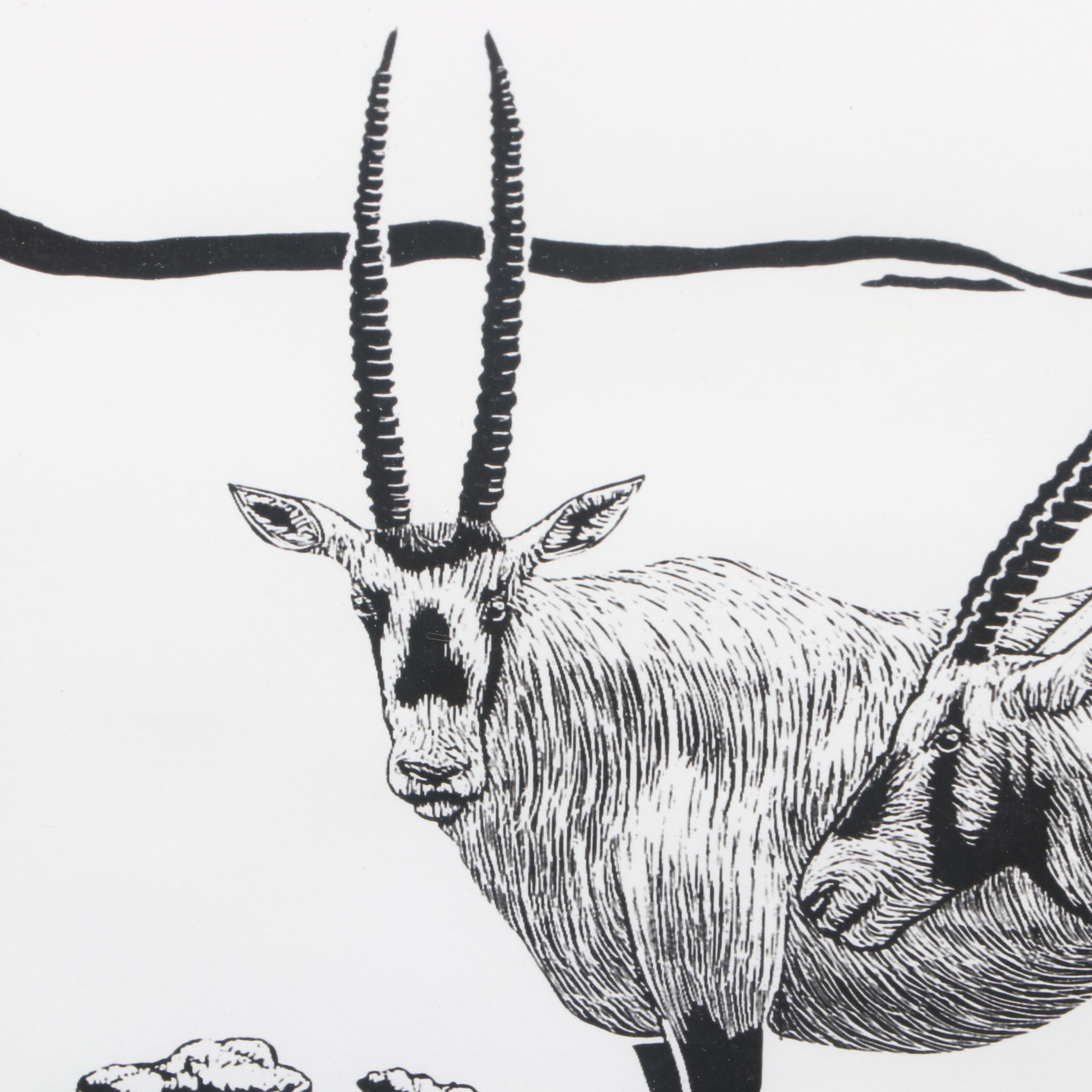 Digital Reproduction Wildlife Print after Jeffrey Kapp