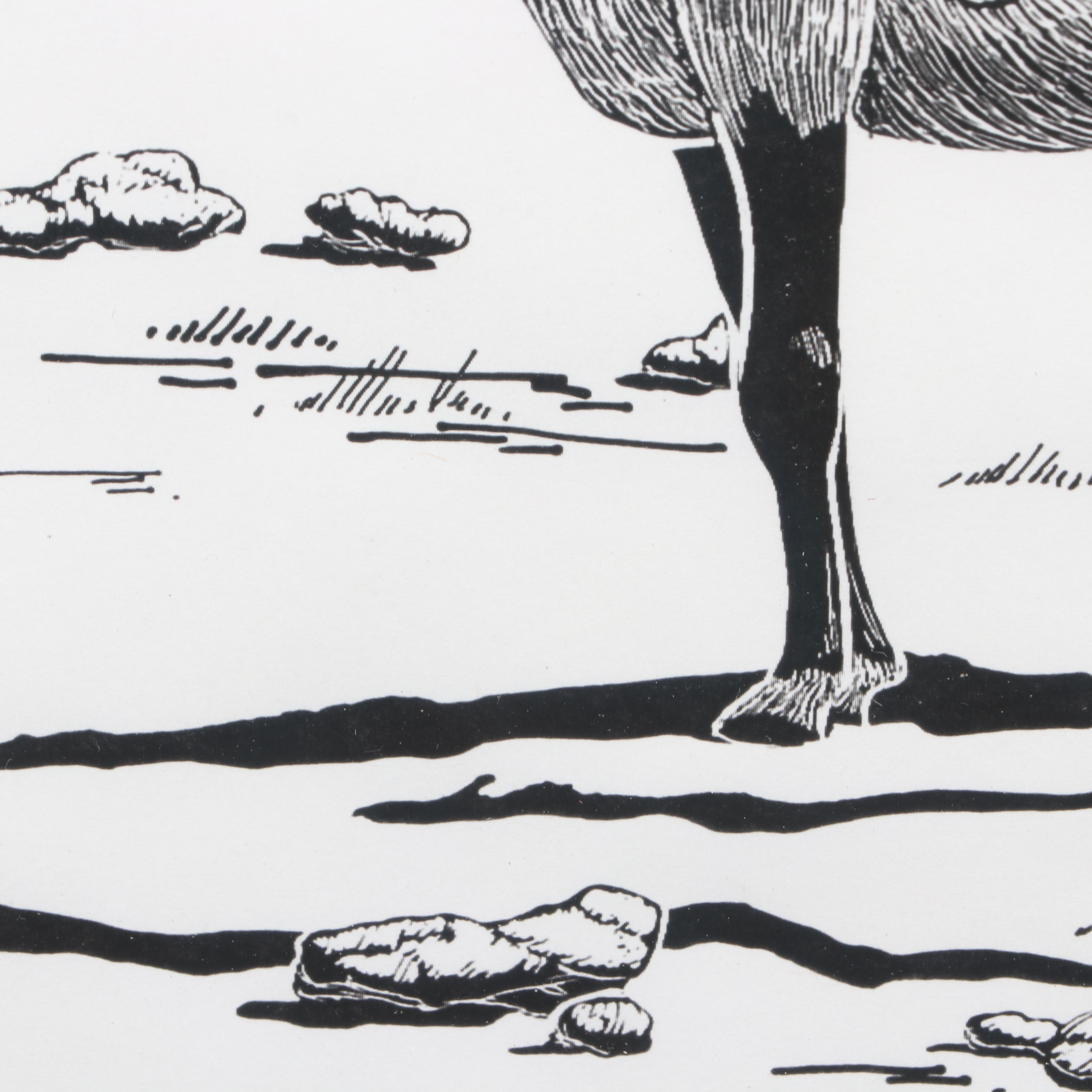 Digital Reproduction Wildlife Print after Jeffrey Kapp