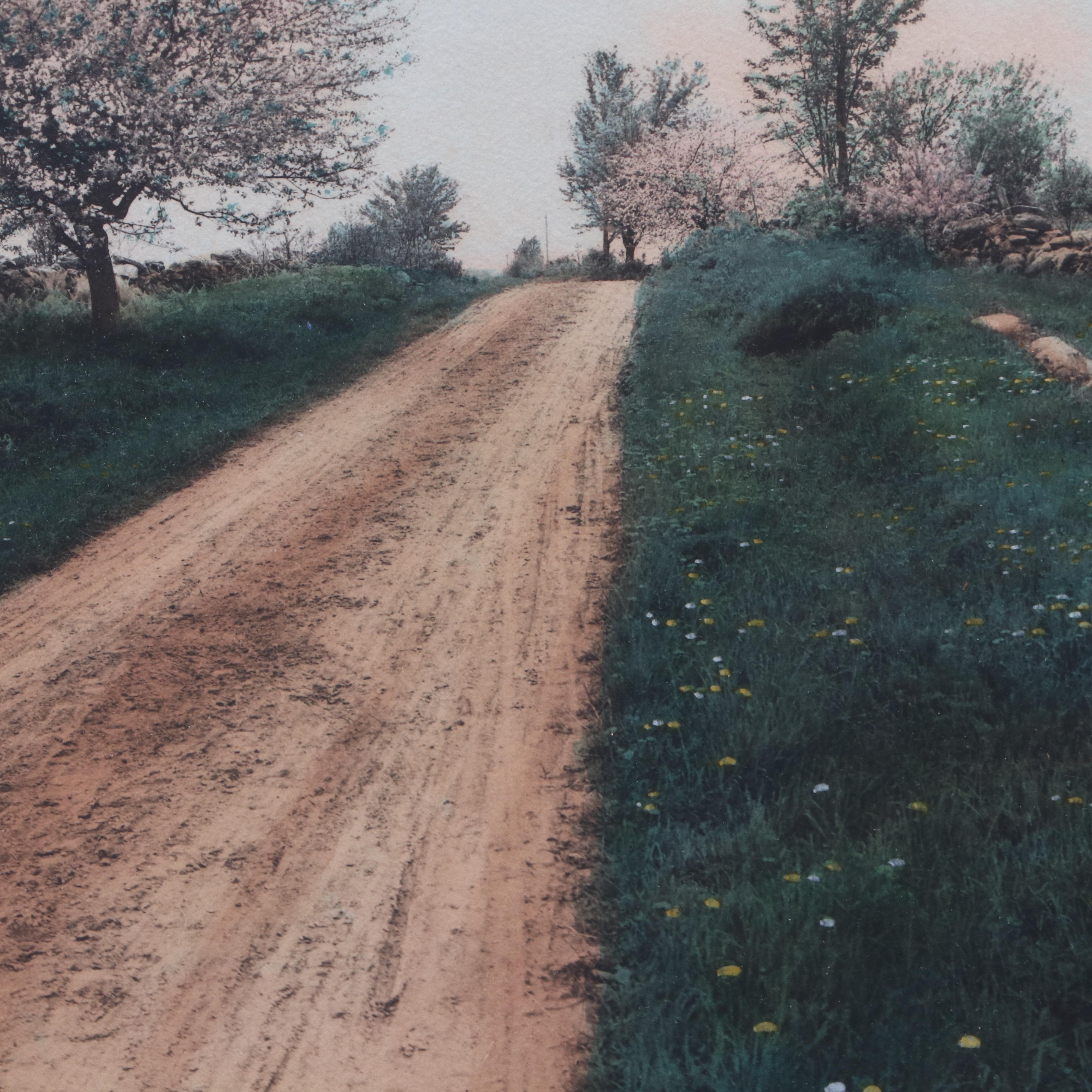 Wallace Nutting Hand-Colored Photograph "A New Hampshire Roadside"