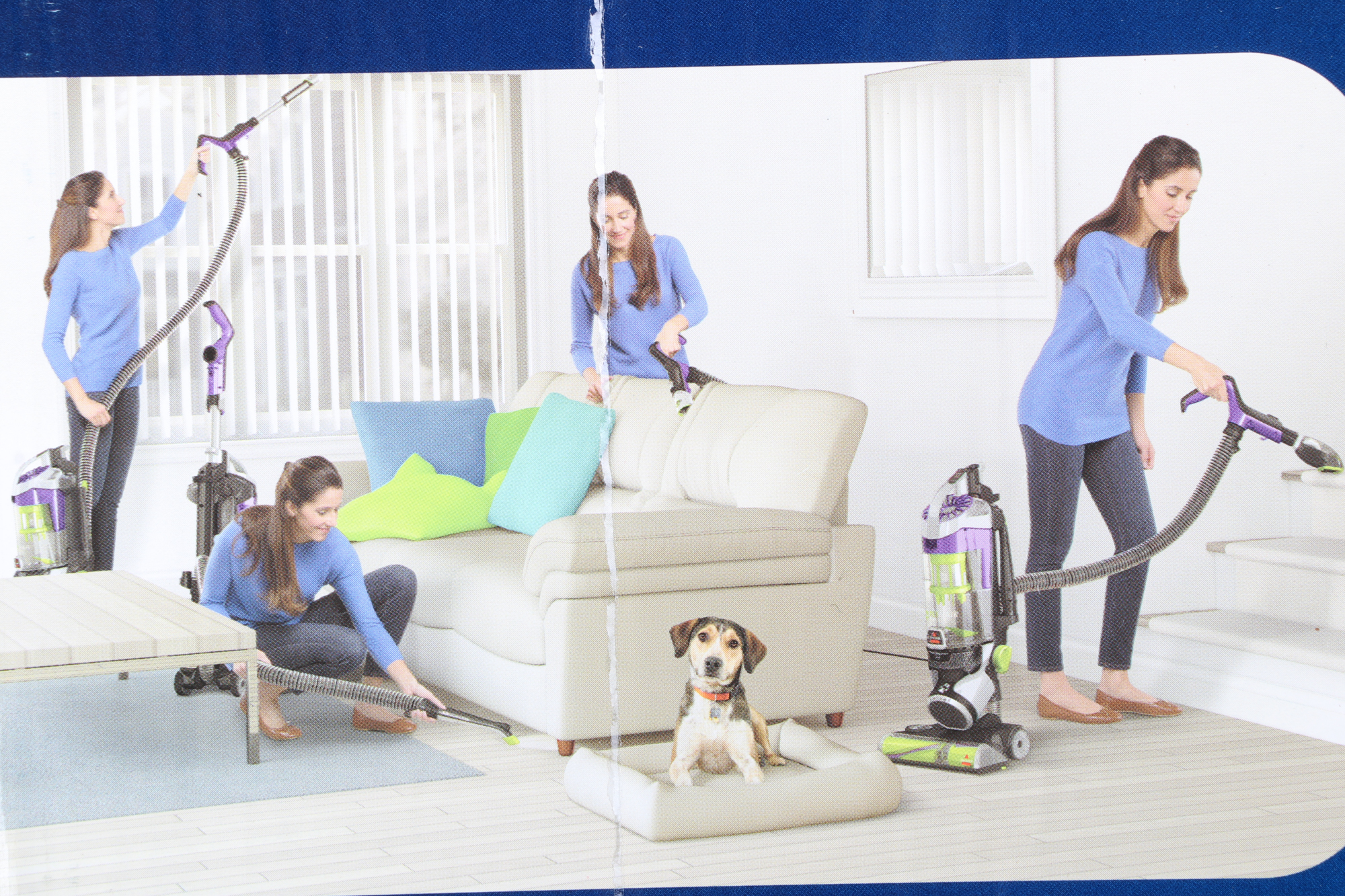 Bissell Pet Hair Eraser Vacuum