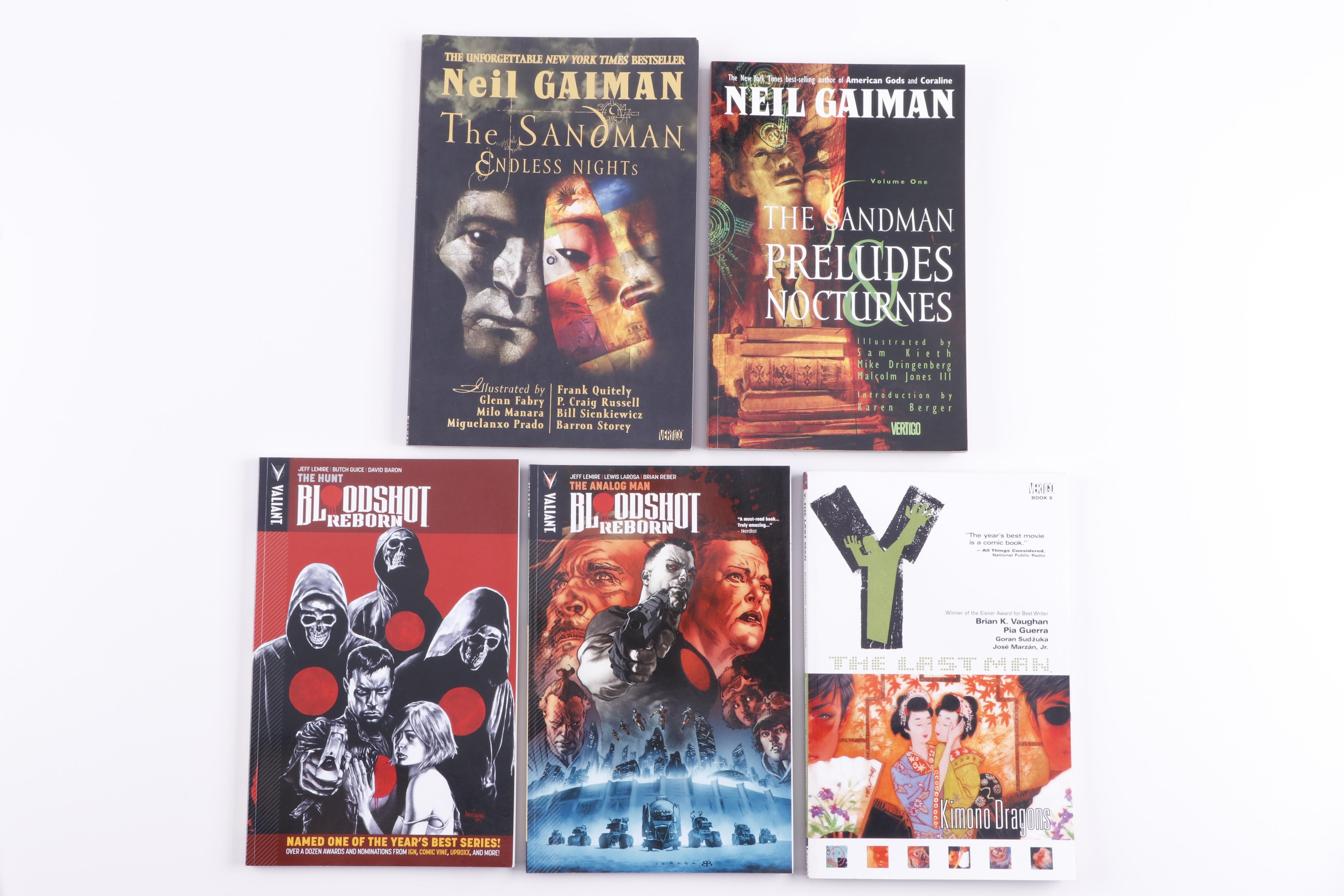 Modern Age Graphic Novels including "The Walking Dead" and "The Sandman"