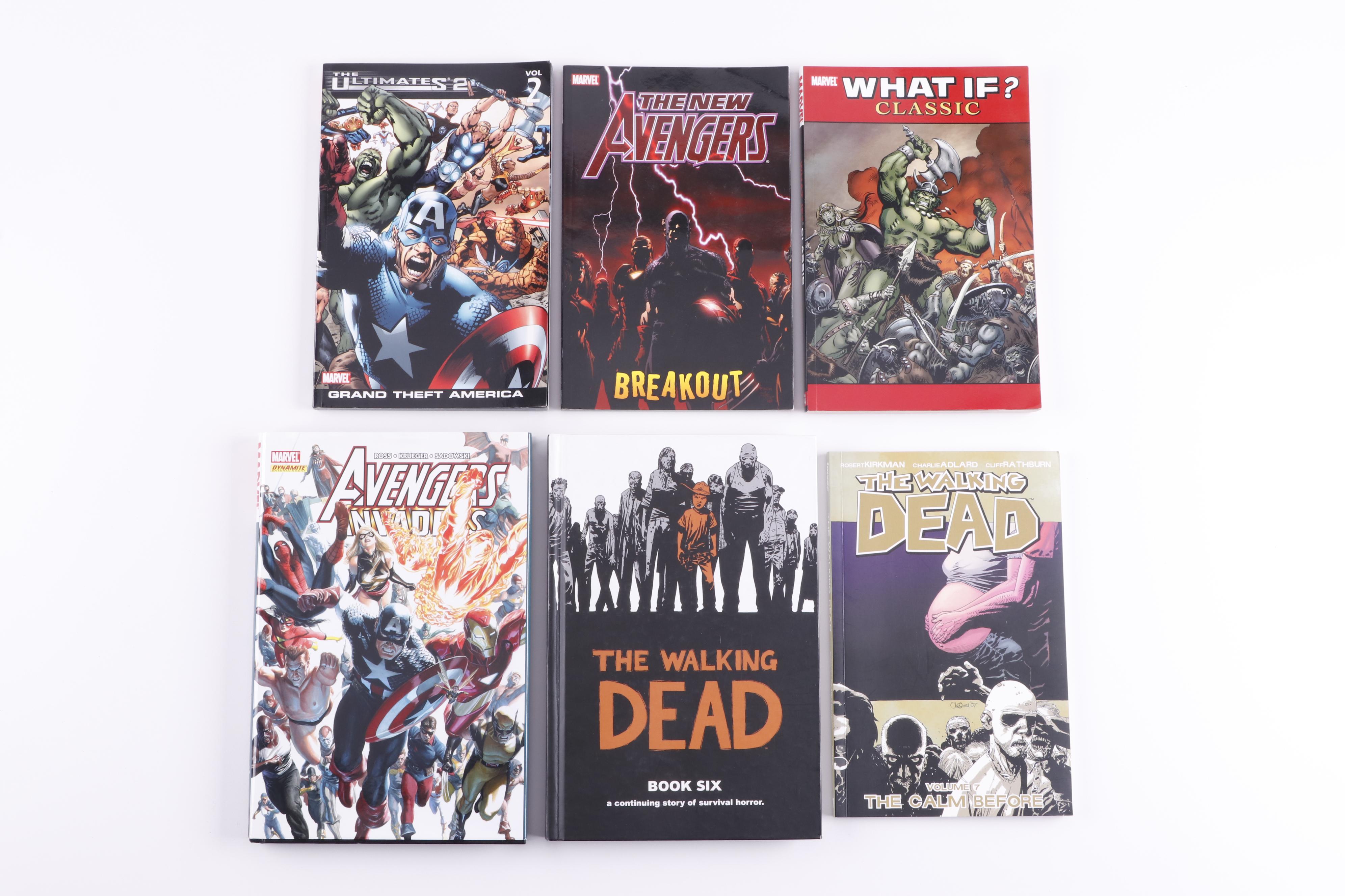 Modern Age Graphic Novels including "The Walking Dead" and "The Sandman"