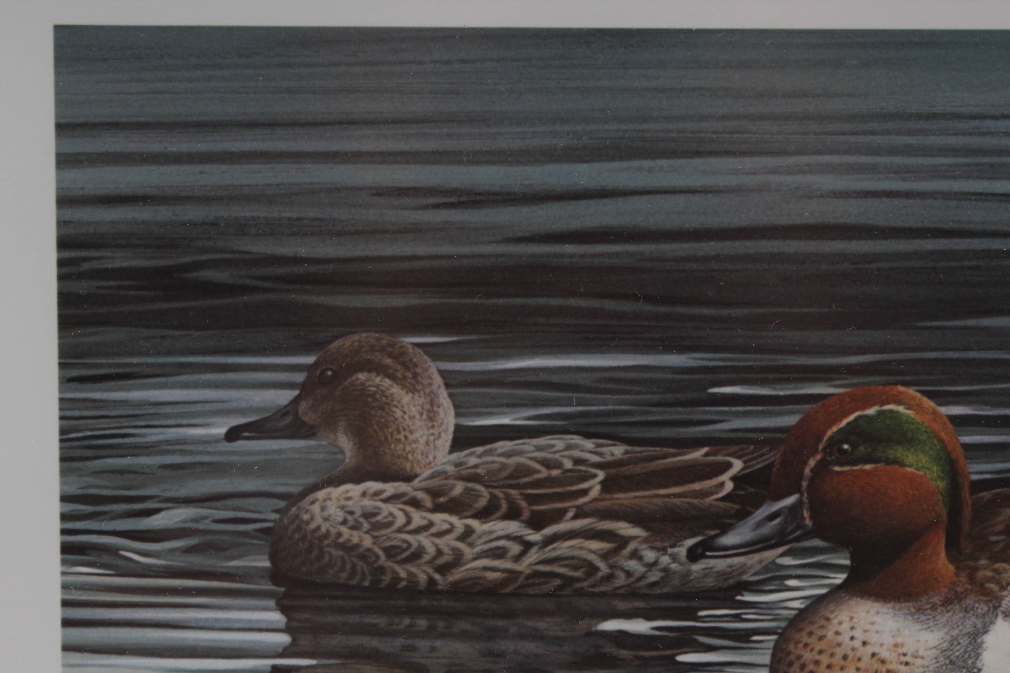 Harold Roe 1984 "Ohio Wetlands Habitat" Stamp and Offset Lithograph