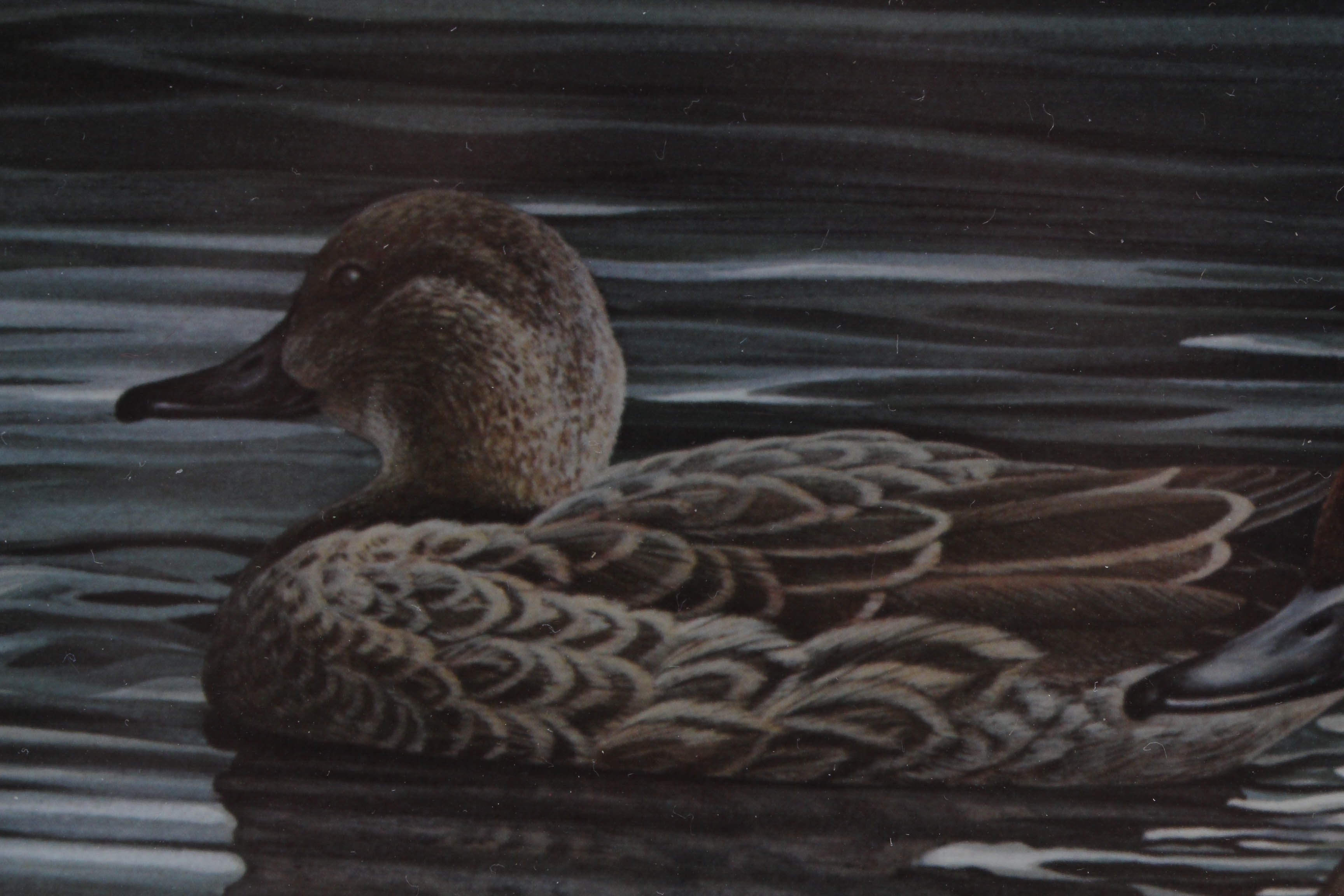 Harold Roe 1984 "Ohio Wetlands Habitat" Stamp and Offset Lithograph