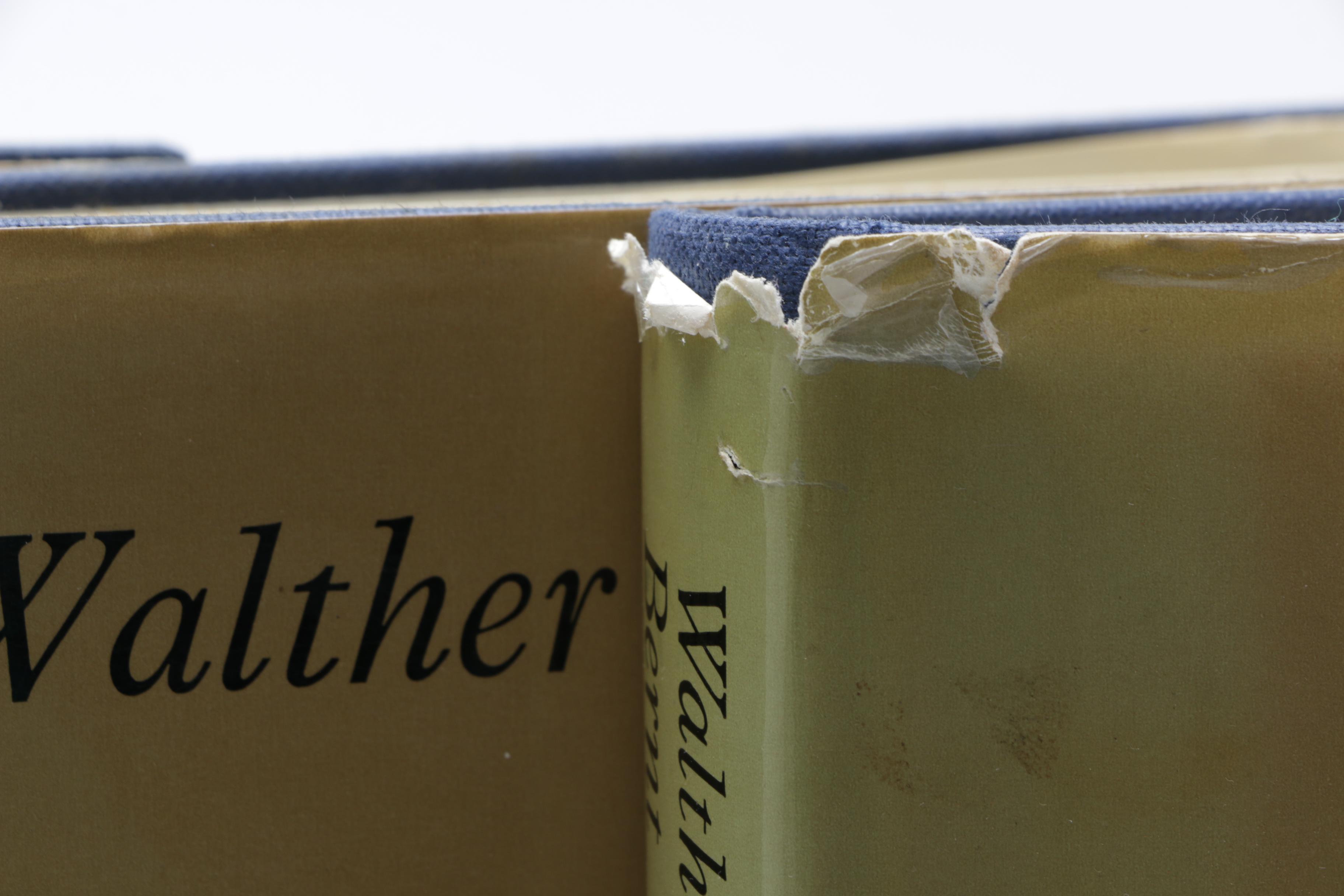 "Netherlandish Painters of the Seventeenth Century" Three Volume Set by Bernt