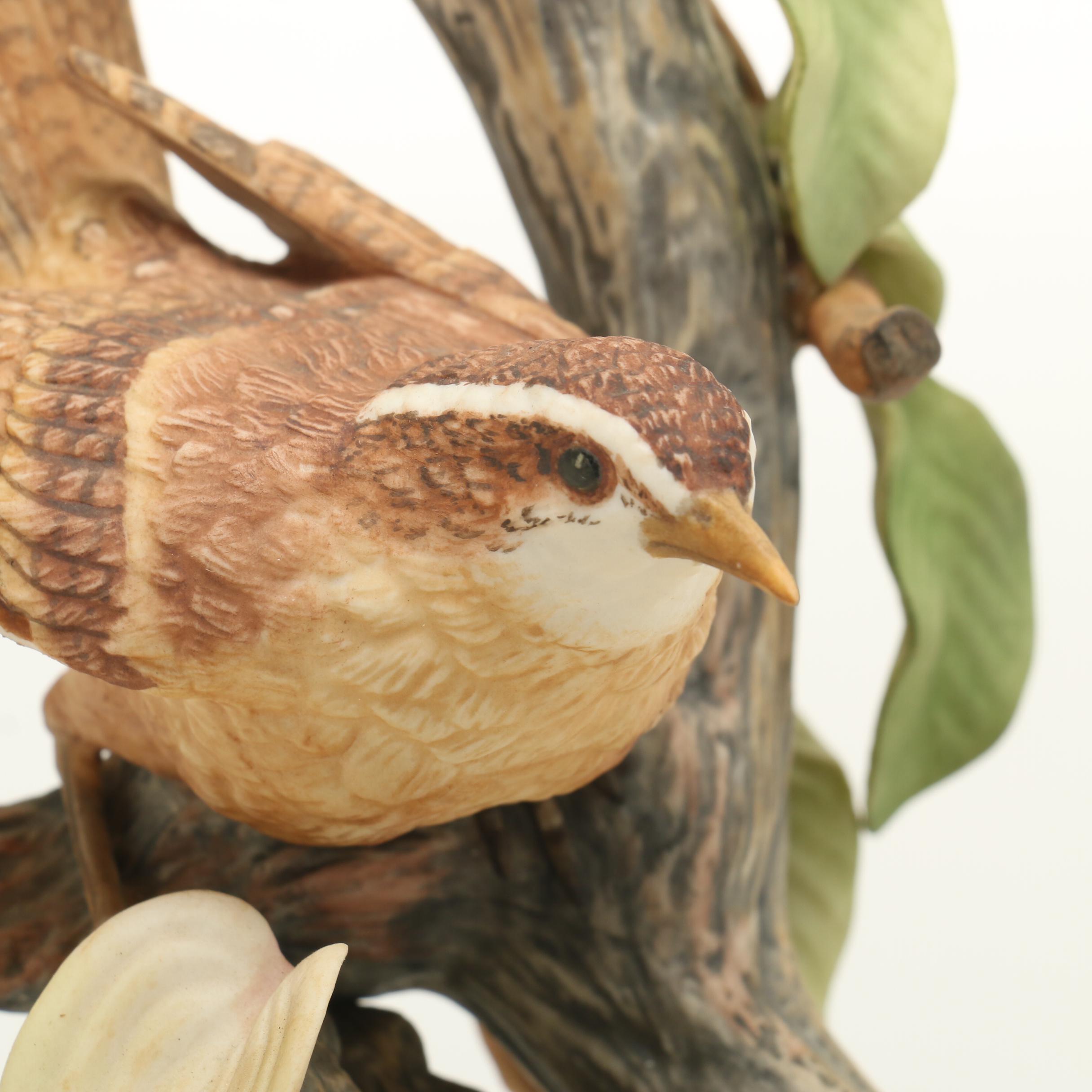 Irving C. Burgues "Carolina Wren with Dogwood"
