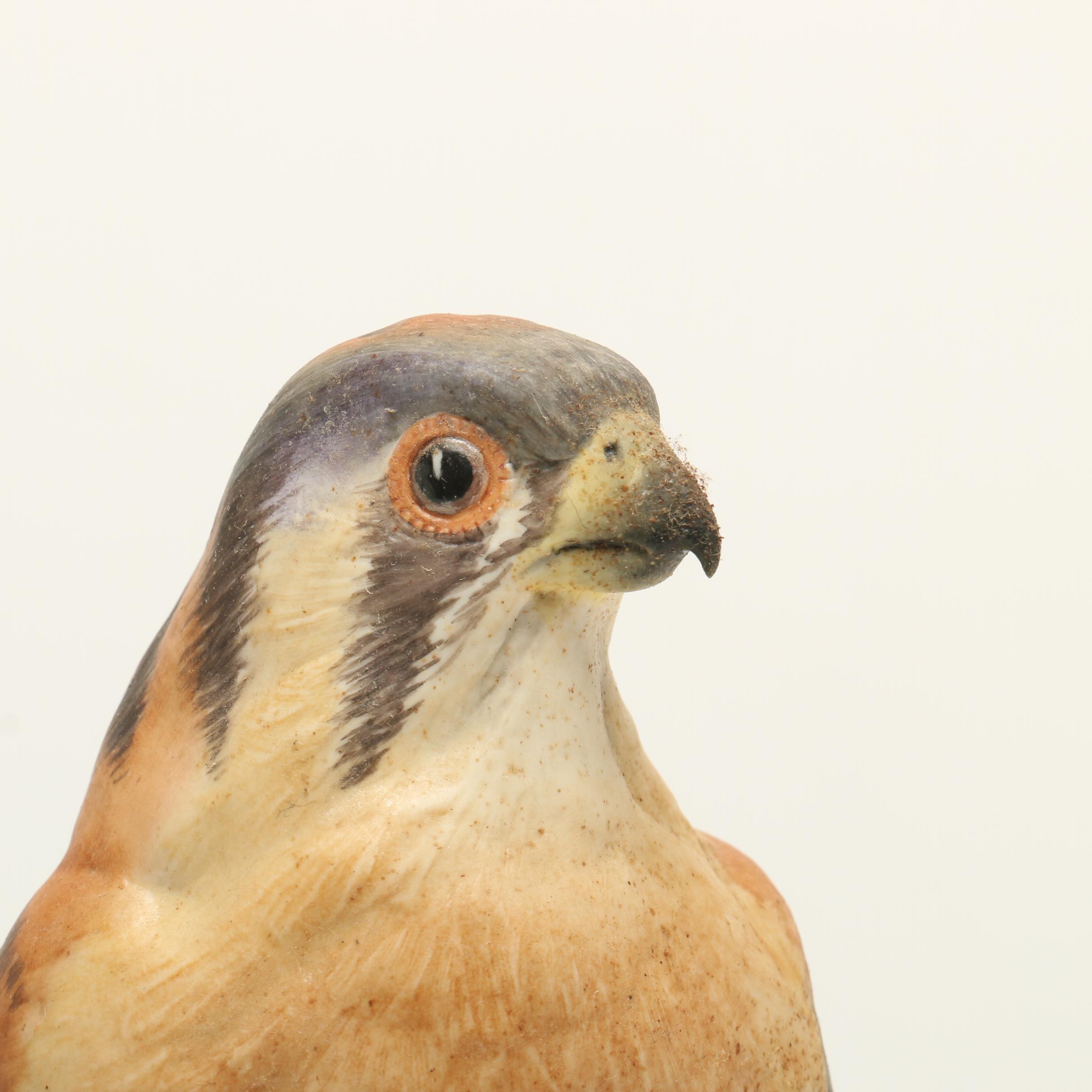 Boehm "Kestrel" Porcelain Sculptures