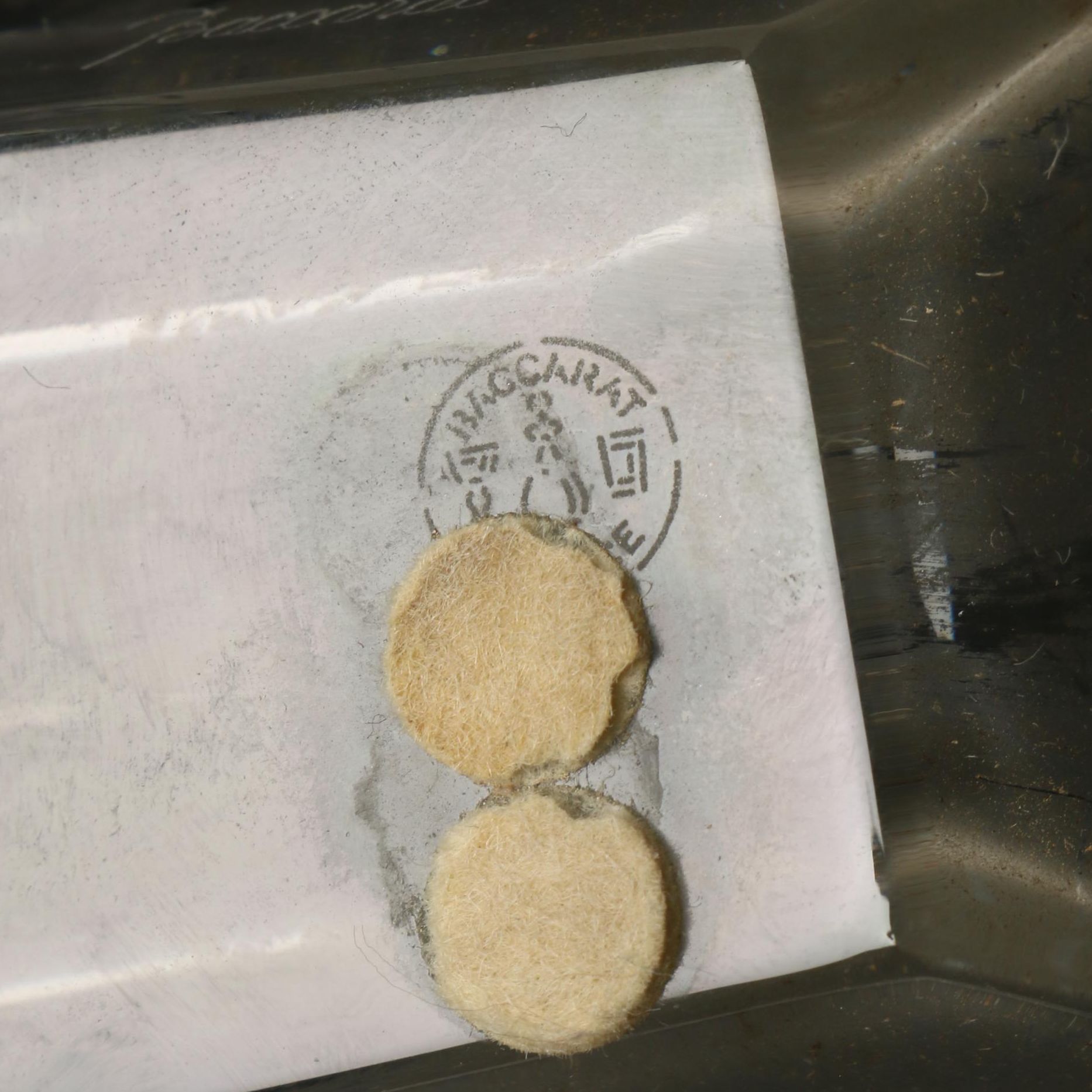 Baccarat "Diva" Flower Vase