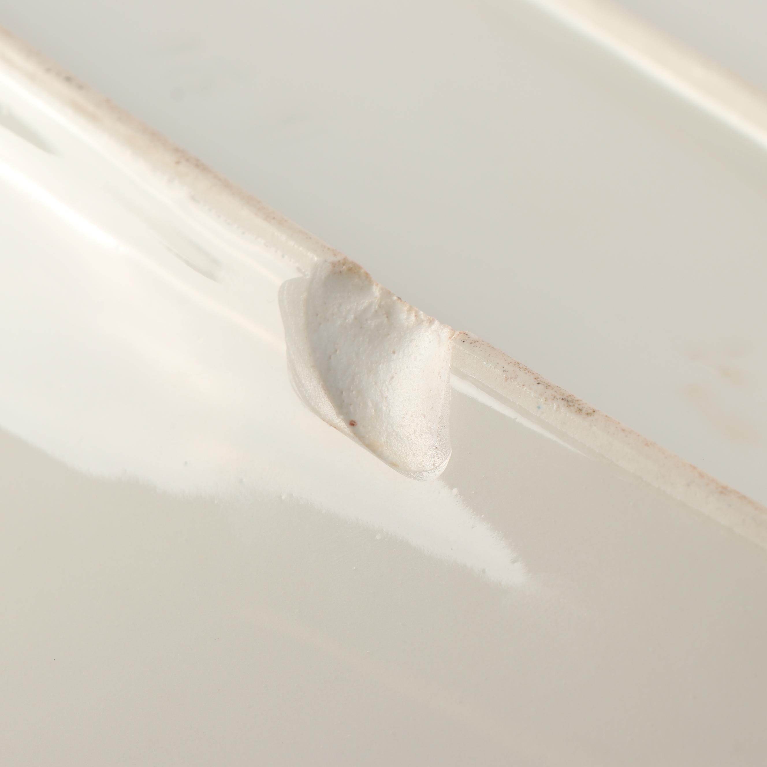 Haviland Hand Painted Porcelain Oval Fish Platter