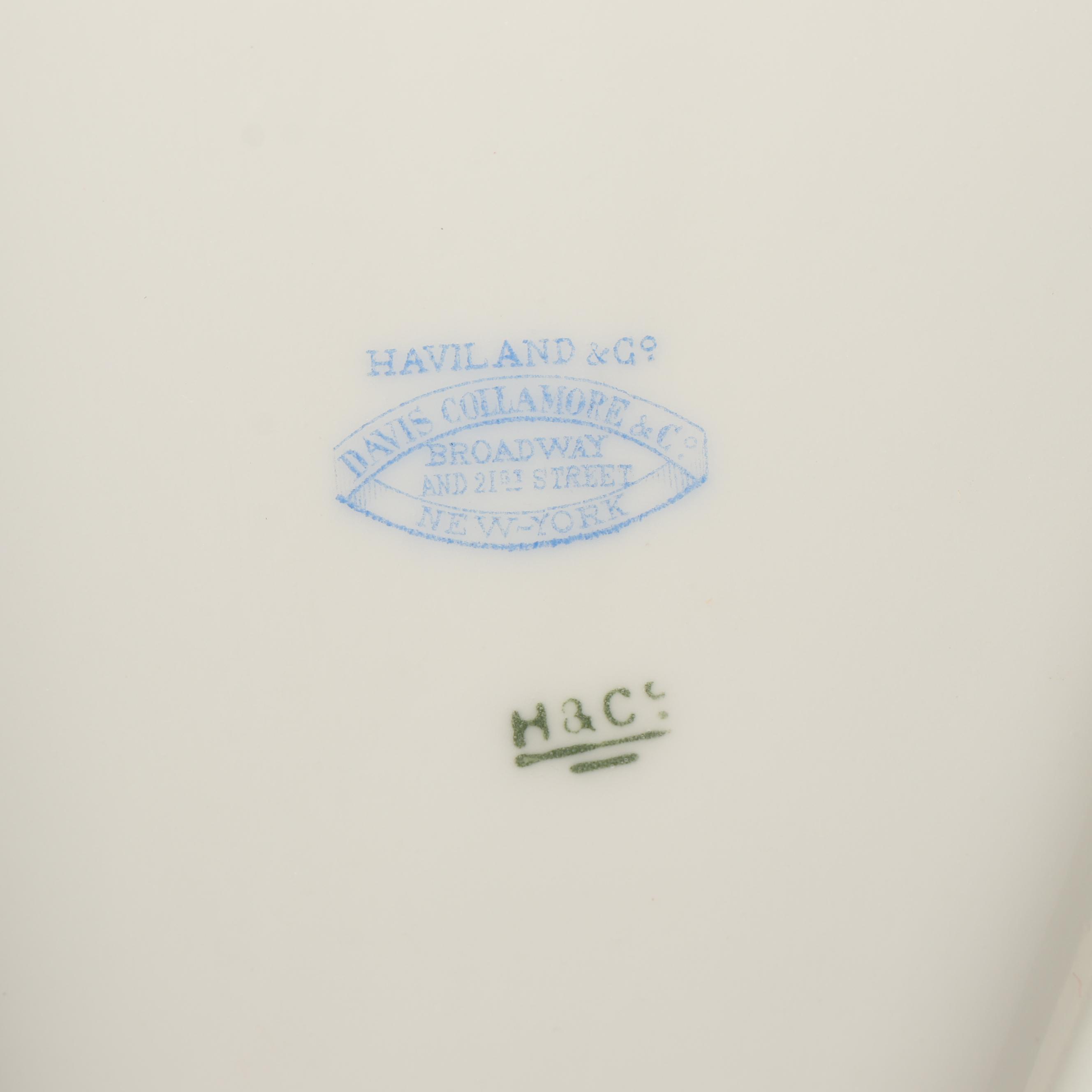 Haviland Hand Painted Porcelain Oval Fish Platter