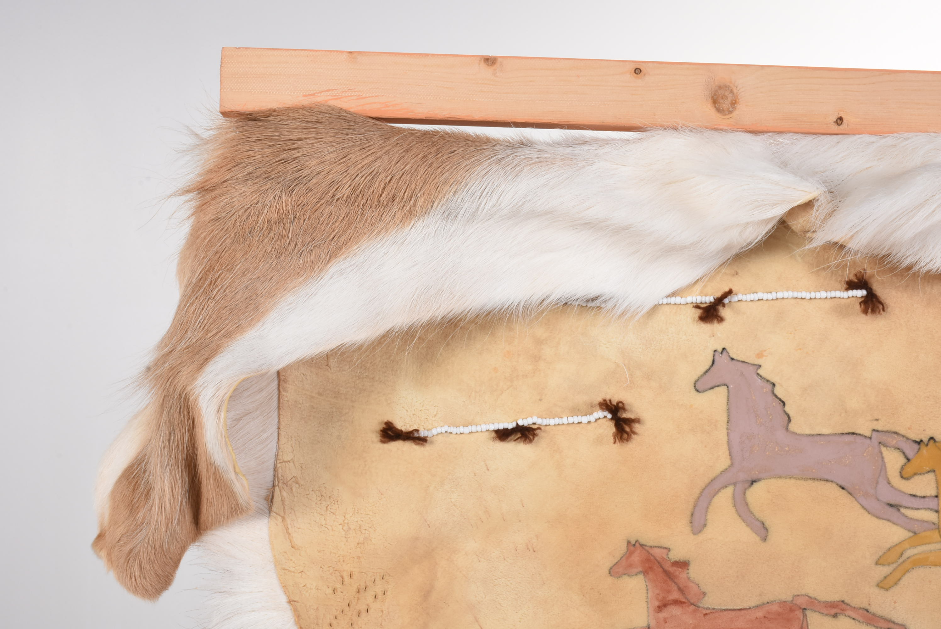 Gloria D’ _Many Horses Deer Hide"