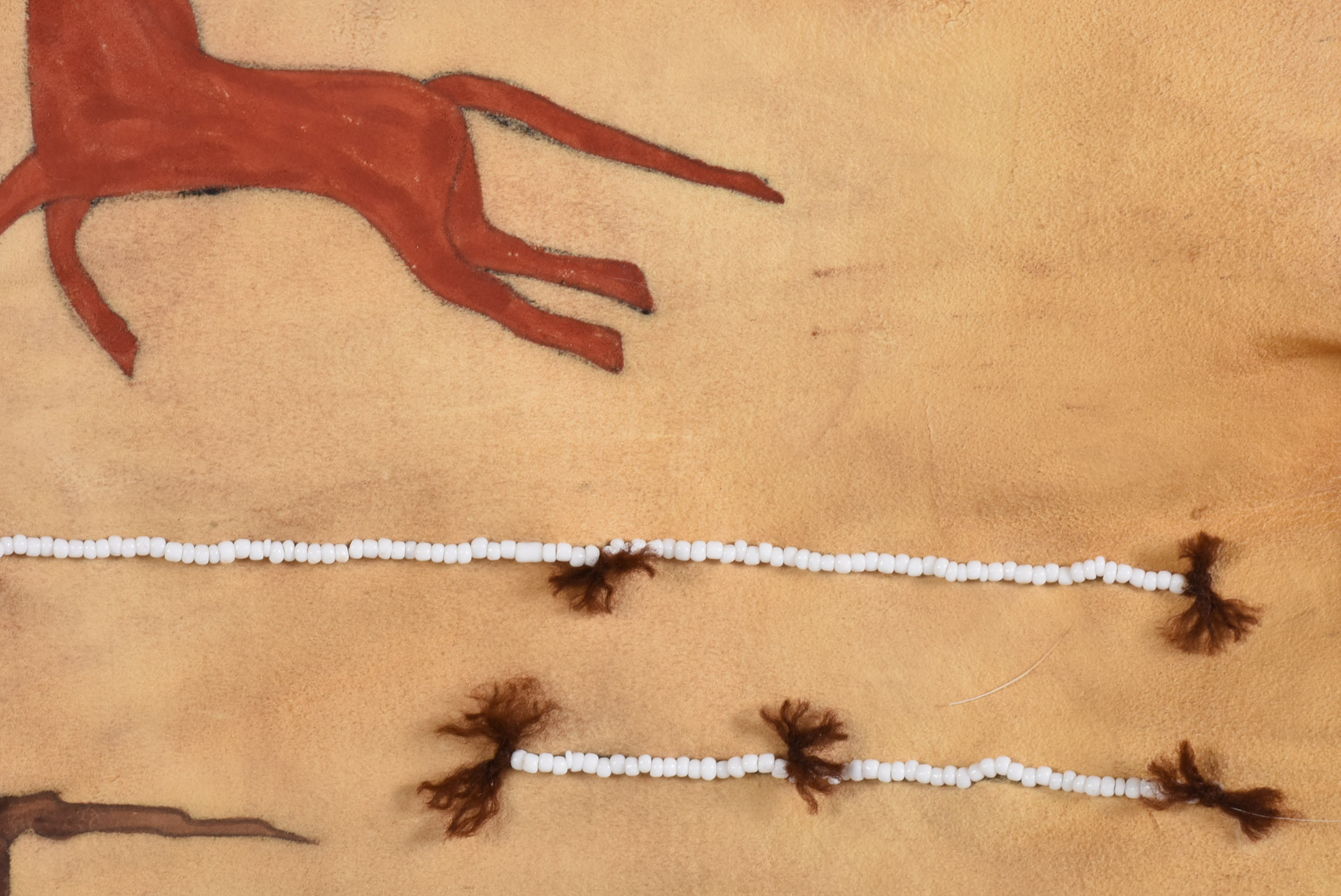 Gloria D’ _Many Horses Deer Hide"