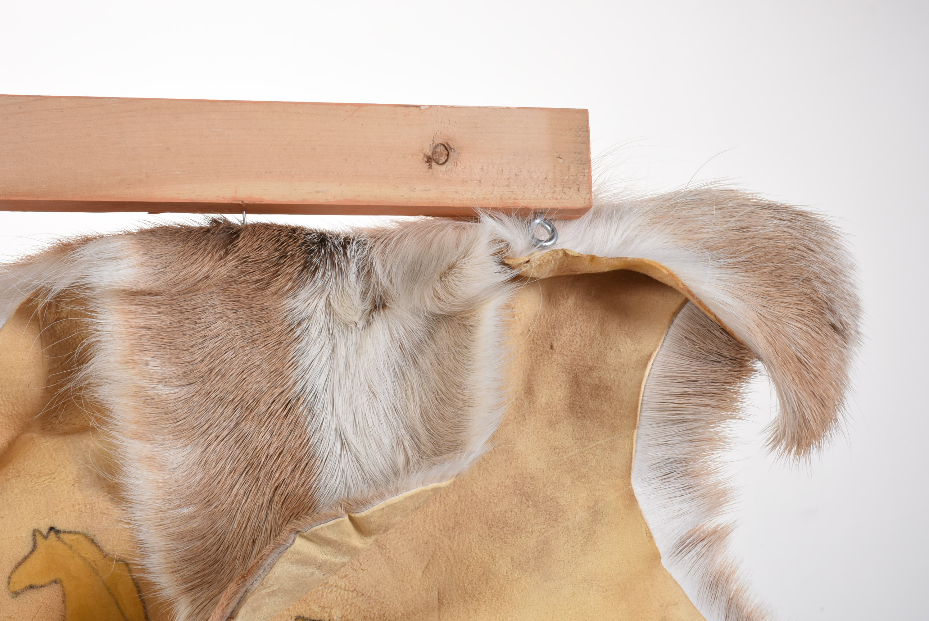 Gloria D’ _Many Horses Deer Hide"