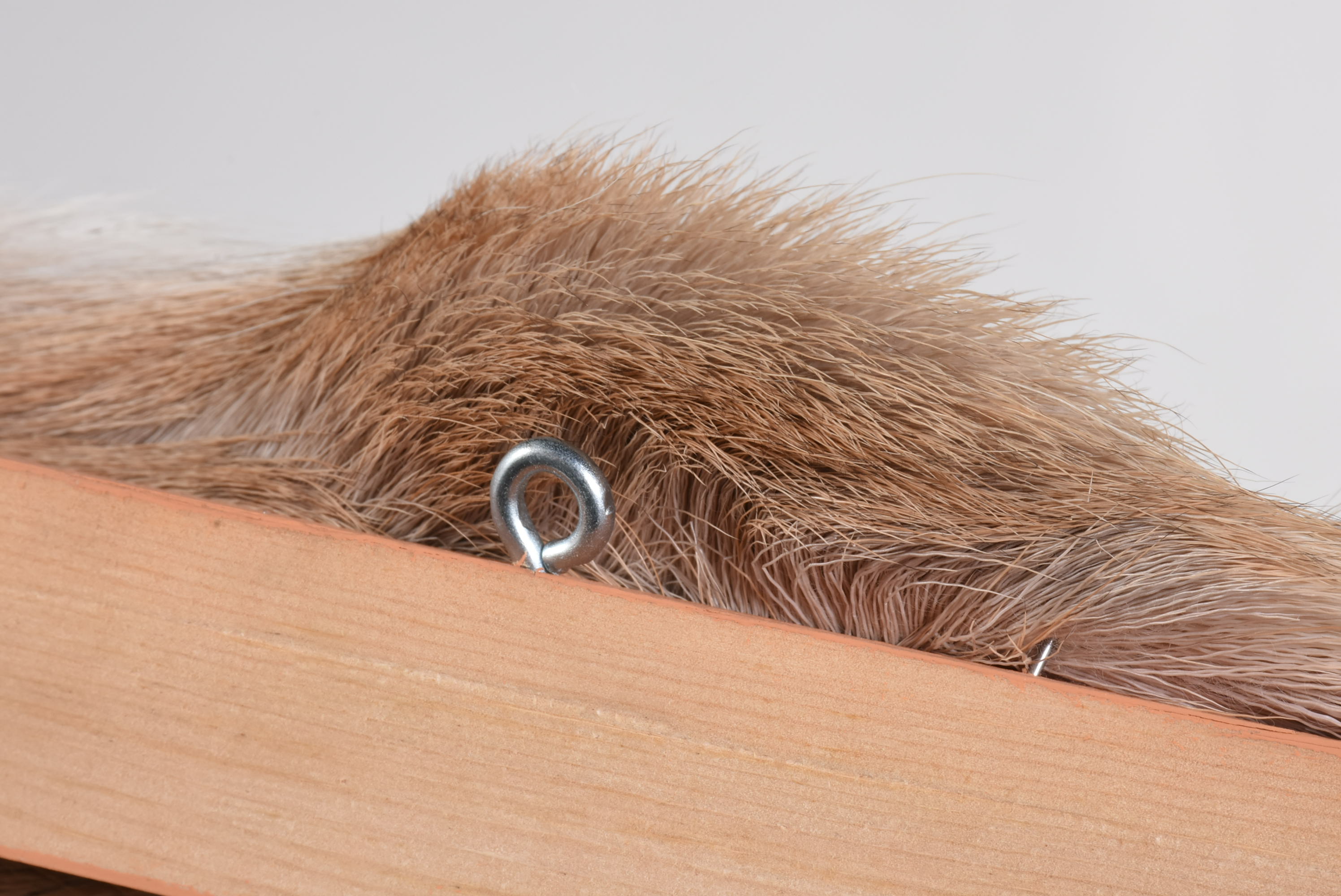 Gloria D’ _Many Horses Deer Hide"