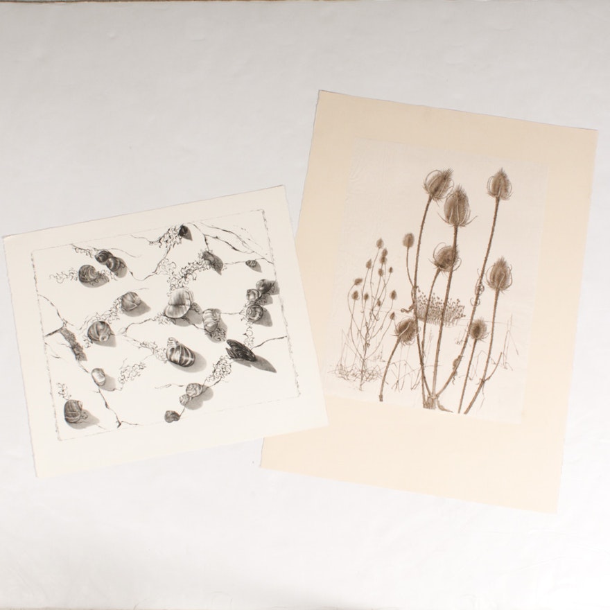 June Carver Roberts Nature Themed Lithographs