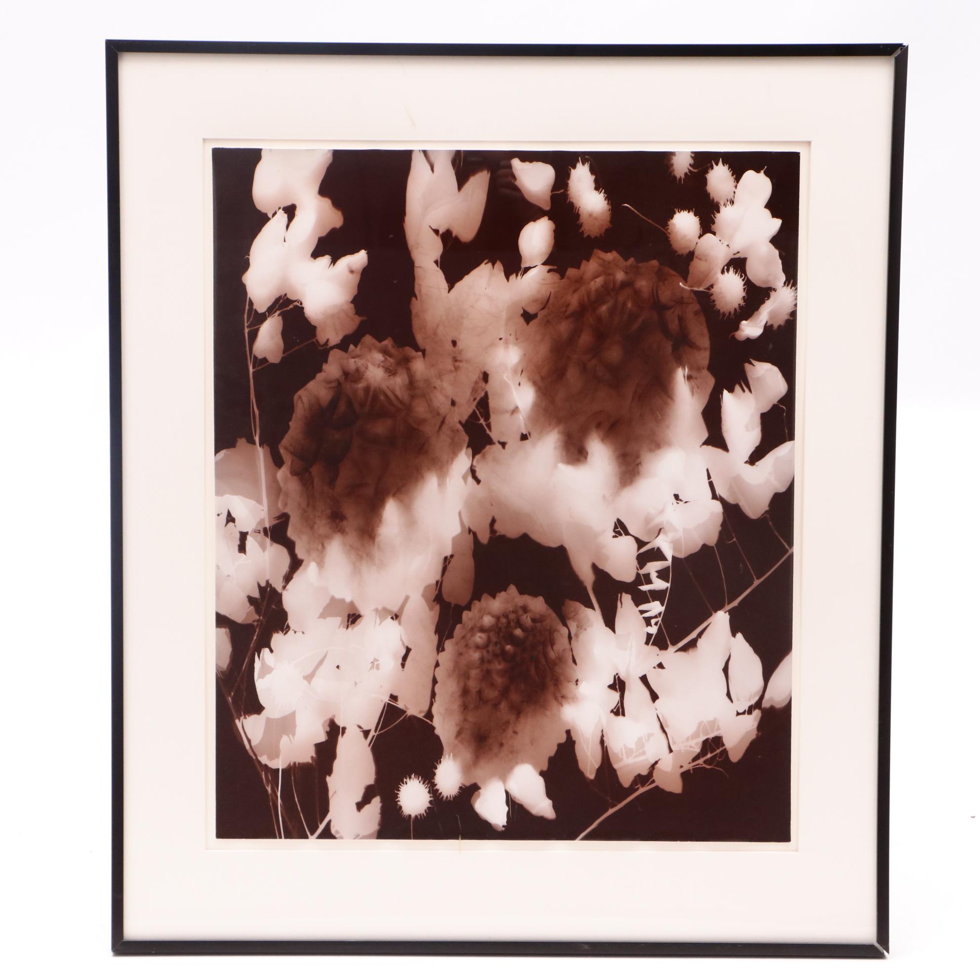 Anita Douthat Photogram of Botanical Forms