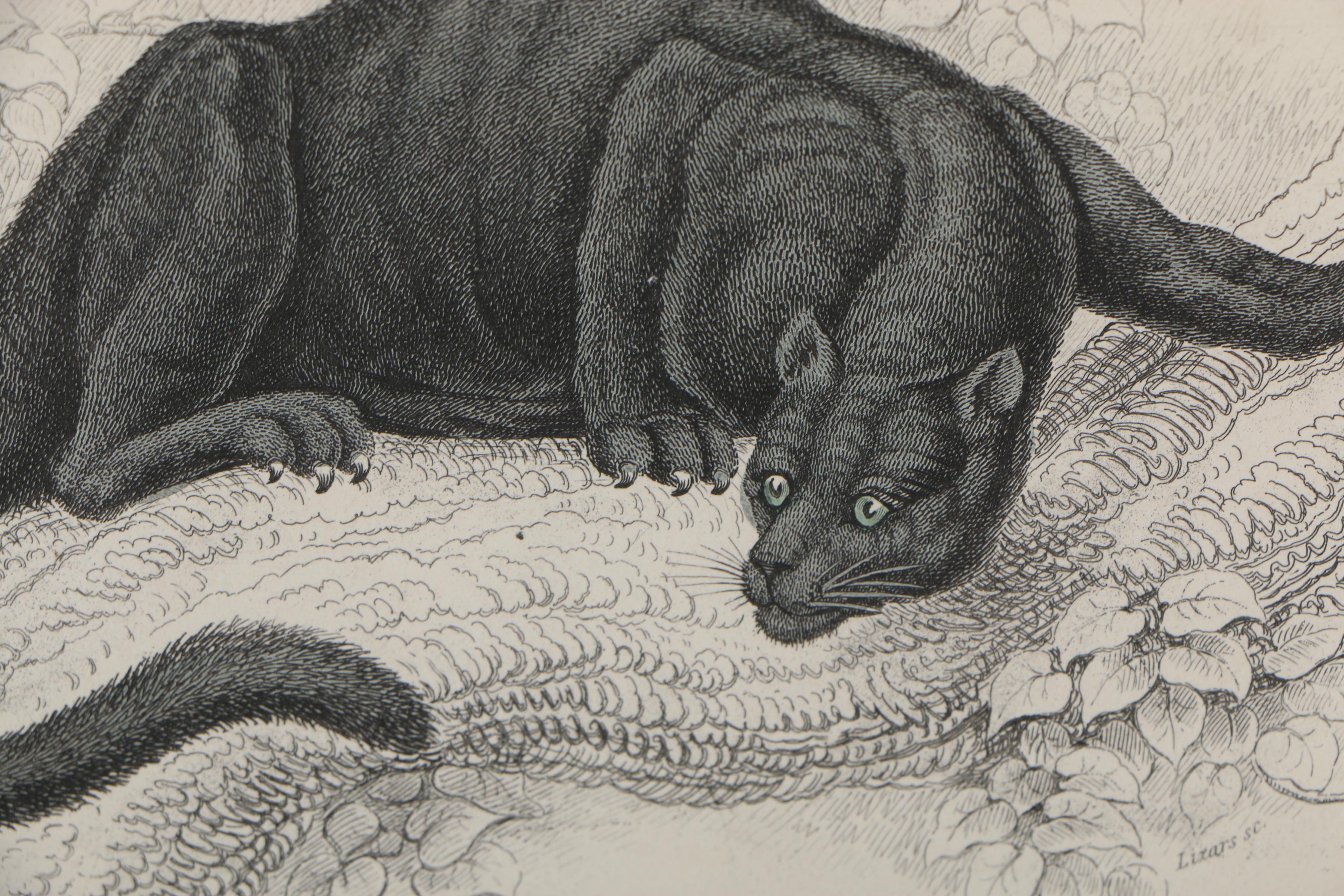 William Horne Lizars Engraving after James Hope Stewart