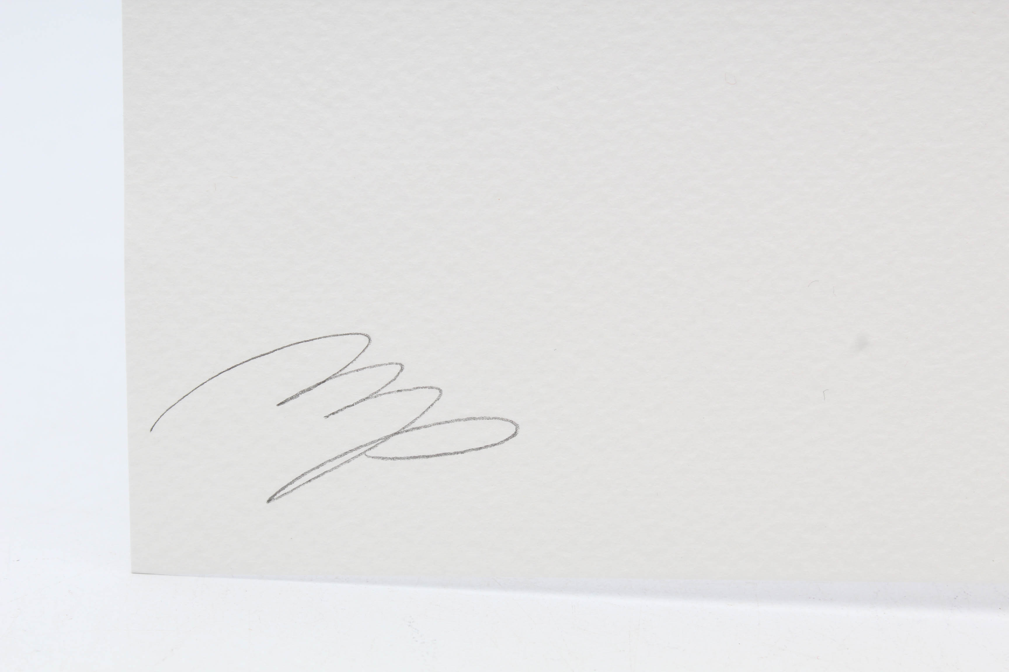 Missing Piece and Death NYC Artist Proof Graphic Illustrations