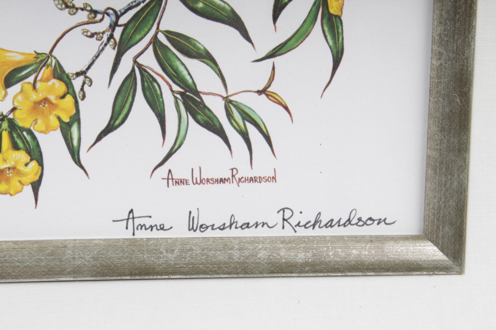 Anne Worsham Richardson Ornithological Offset Lithograph