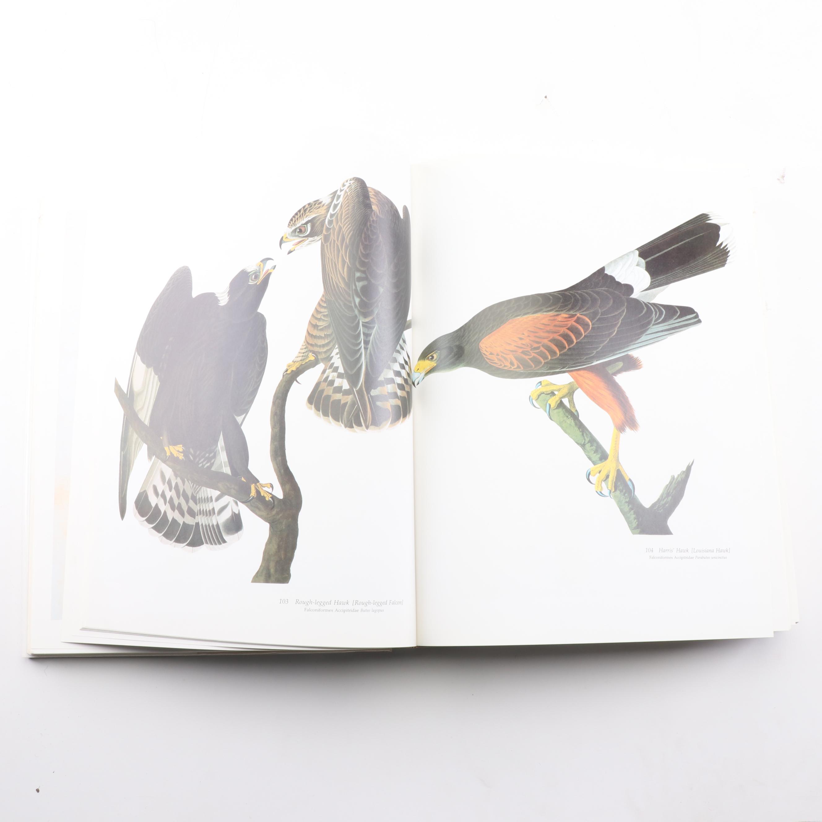 "Audubon's Birds of America" by Roger Tory and Virginia Marie Peterson, 1981