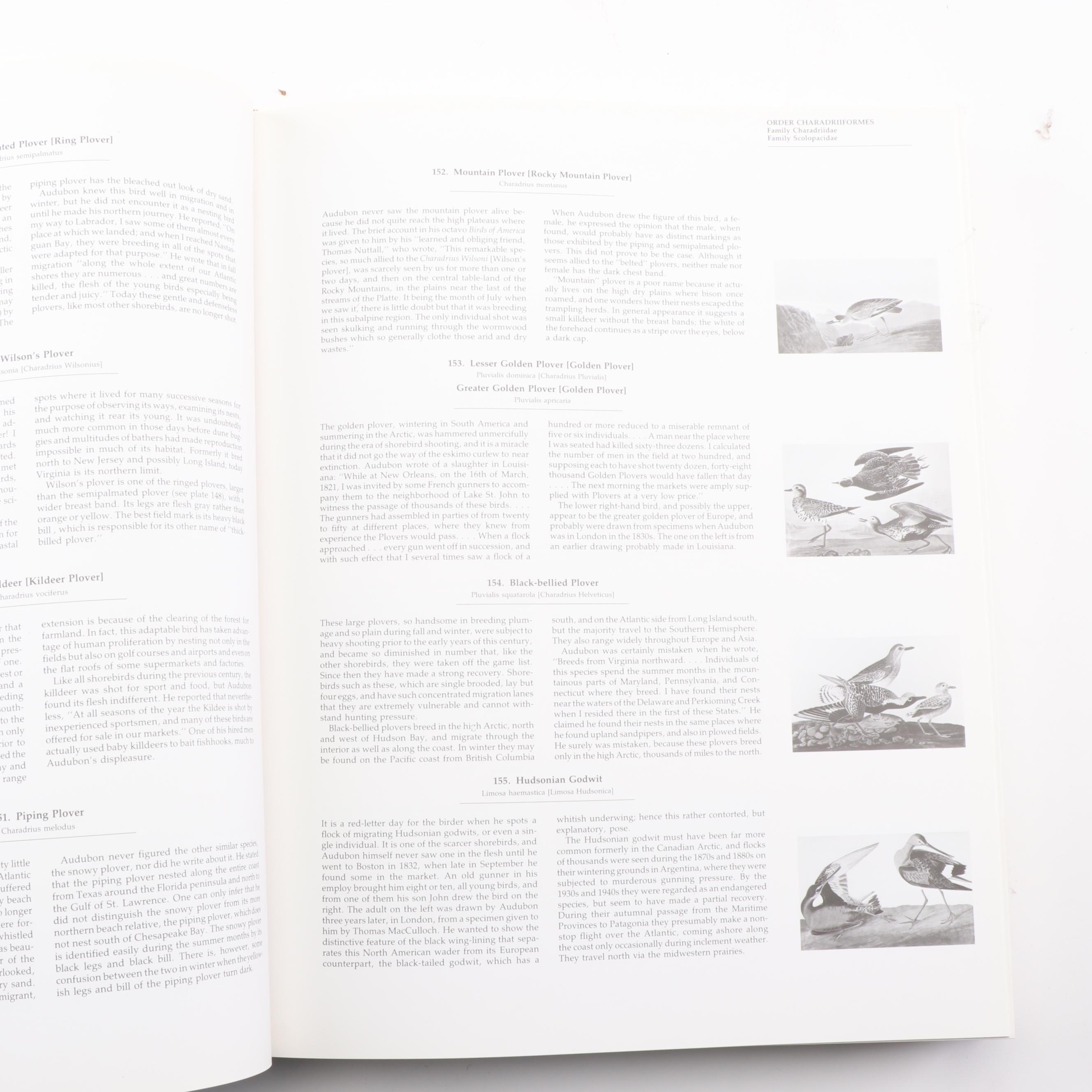 "Audubon's Birds of America" by Roger Tory and Virginia Marie Peterson, 1981