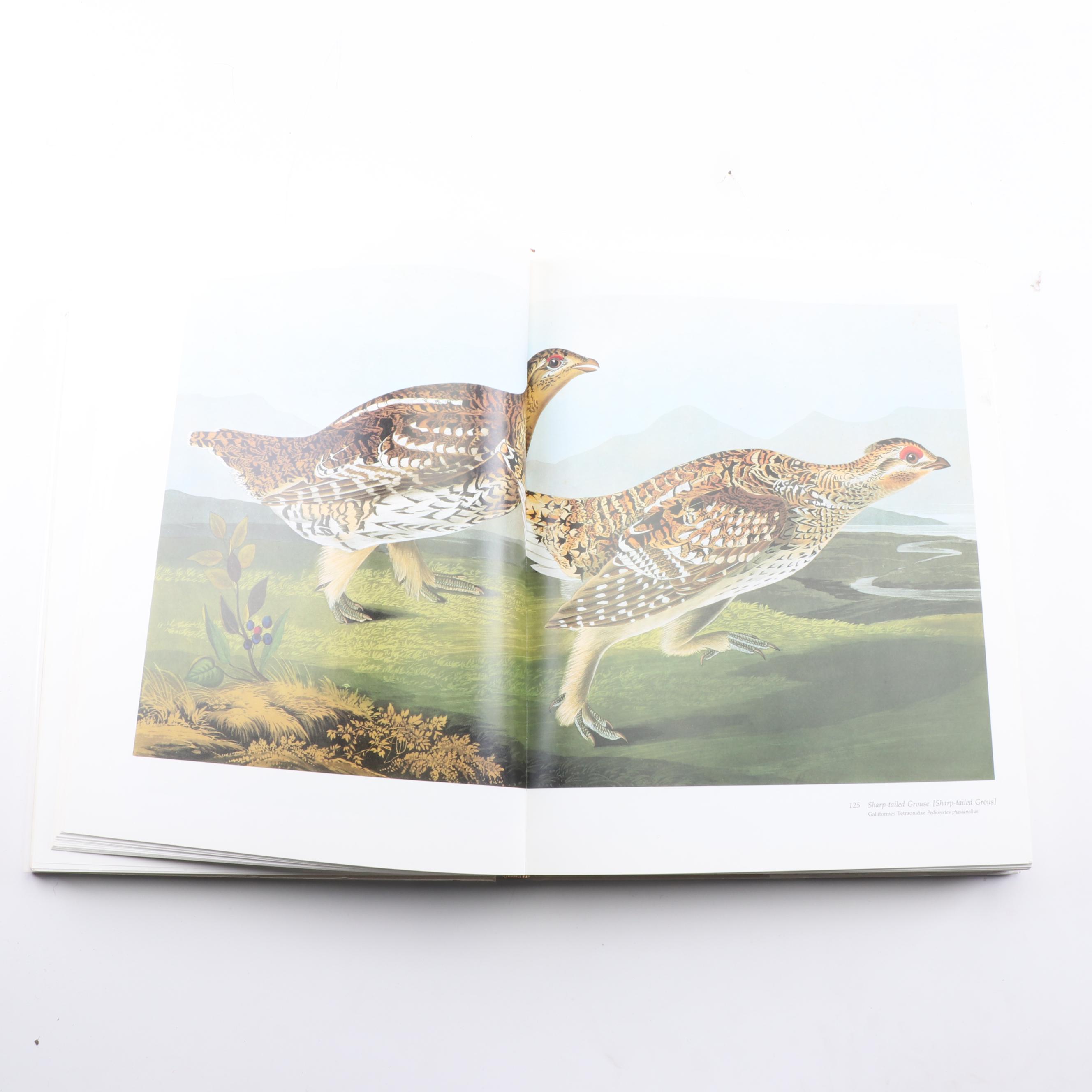 "Audubon's Birds of America" by Roger Tory and Virginia Marie Peterson, 1981
