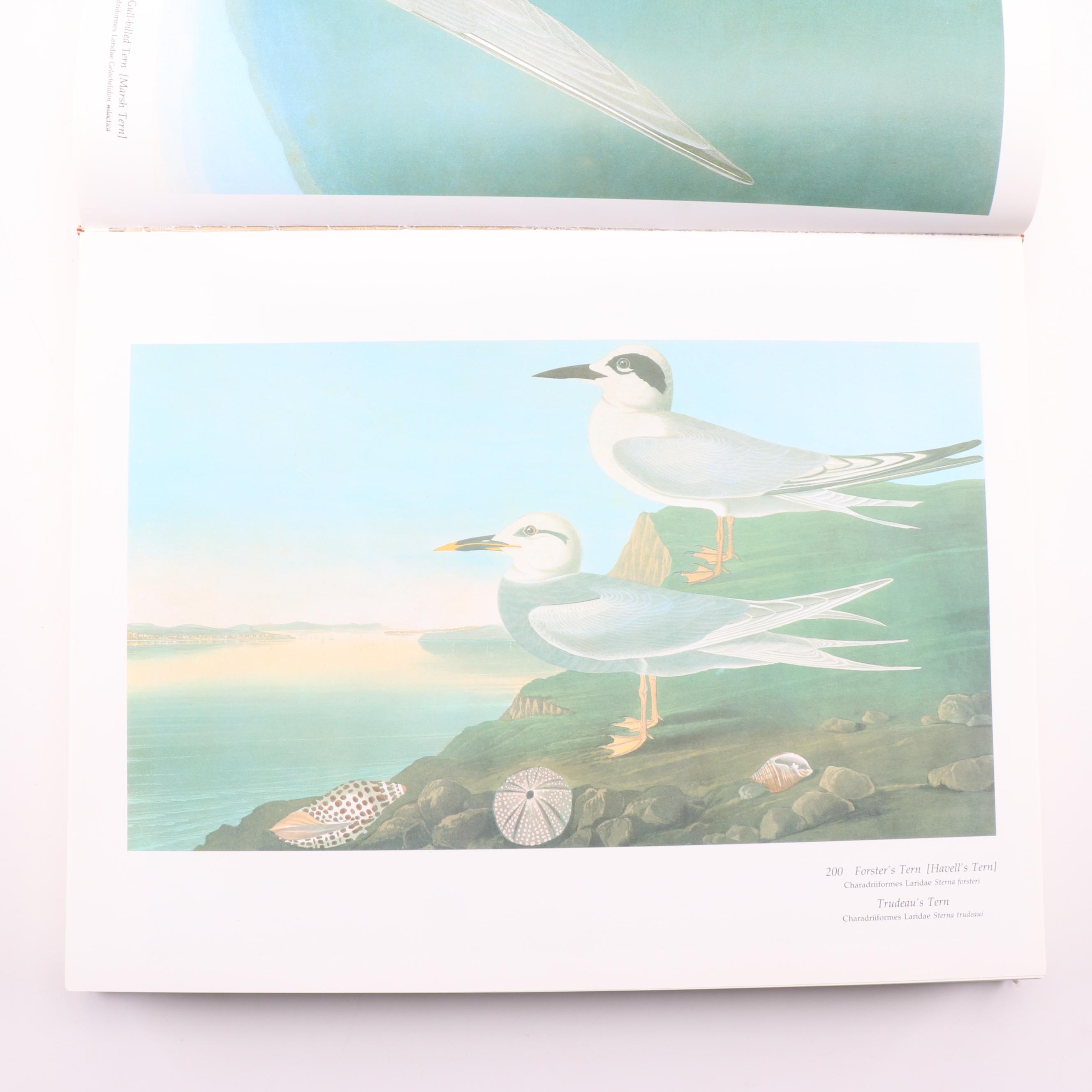 "Audubon's Birds of America" by Roger Tory and Virginia Marie Peterson, 1981