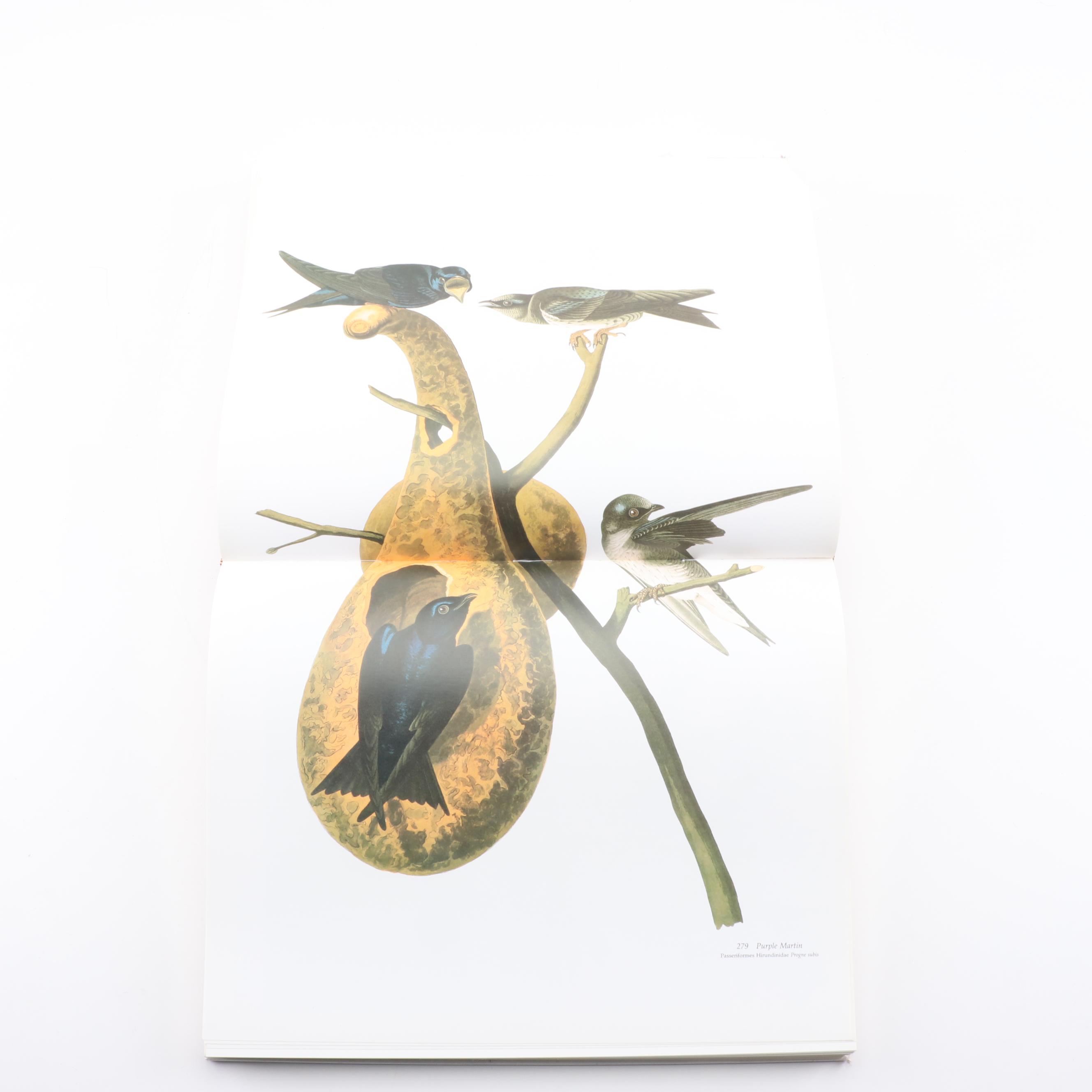 "Audubon's Birds of America" by Roger Tory and Virginia Marie Peterson, 1981