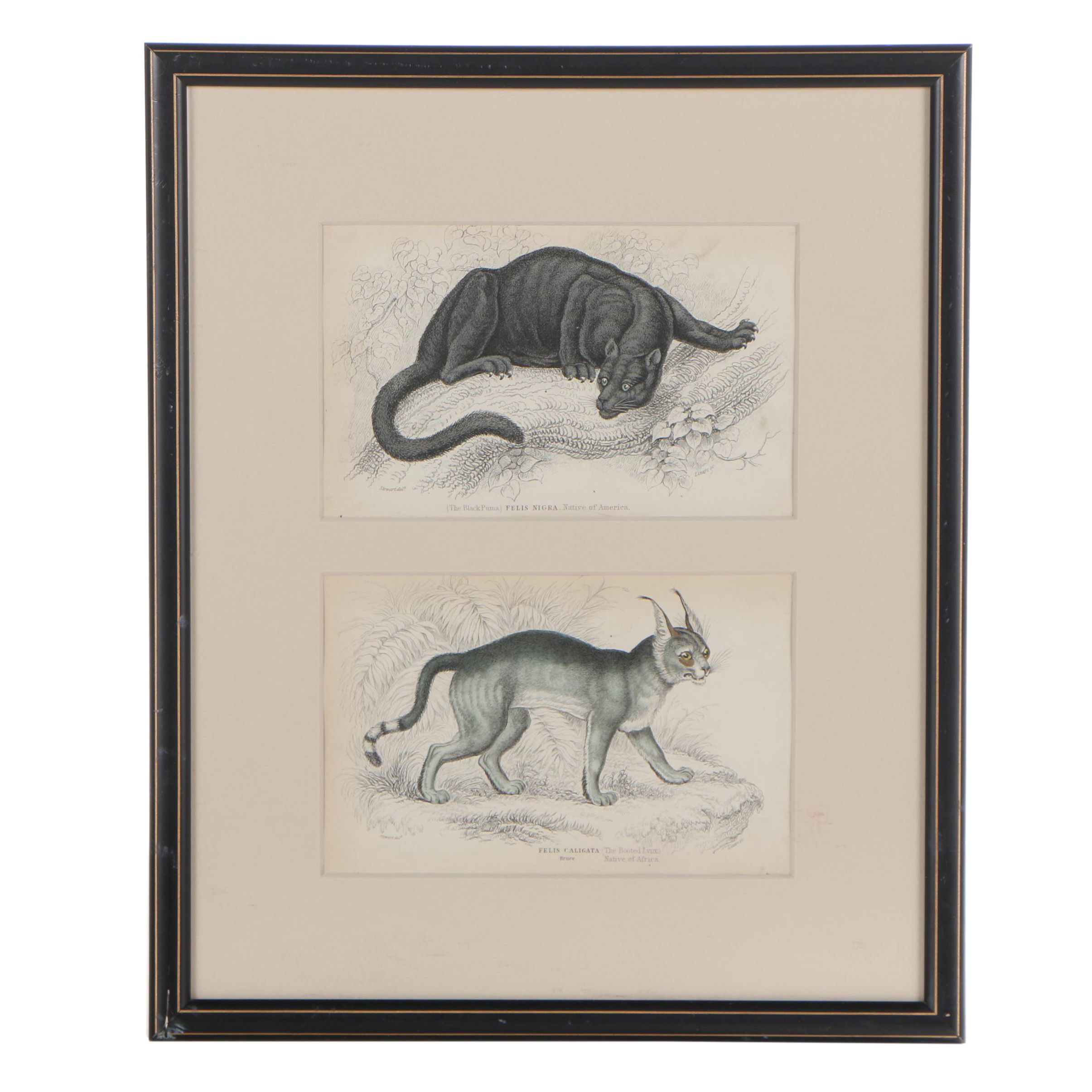 William Horne Lizars Engraving after James Hope Stewart