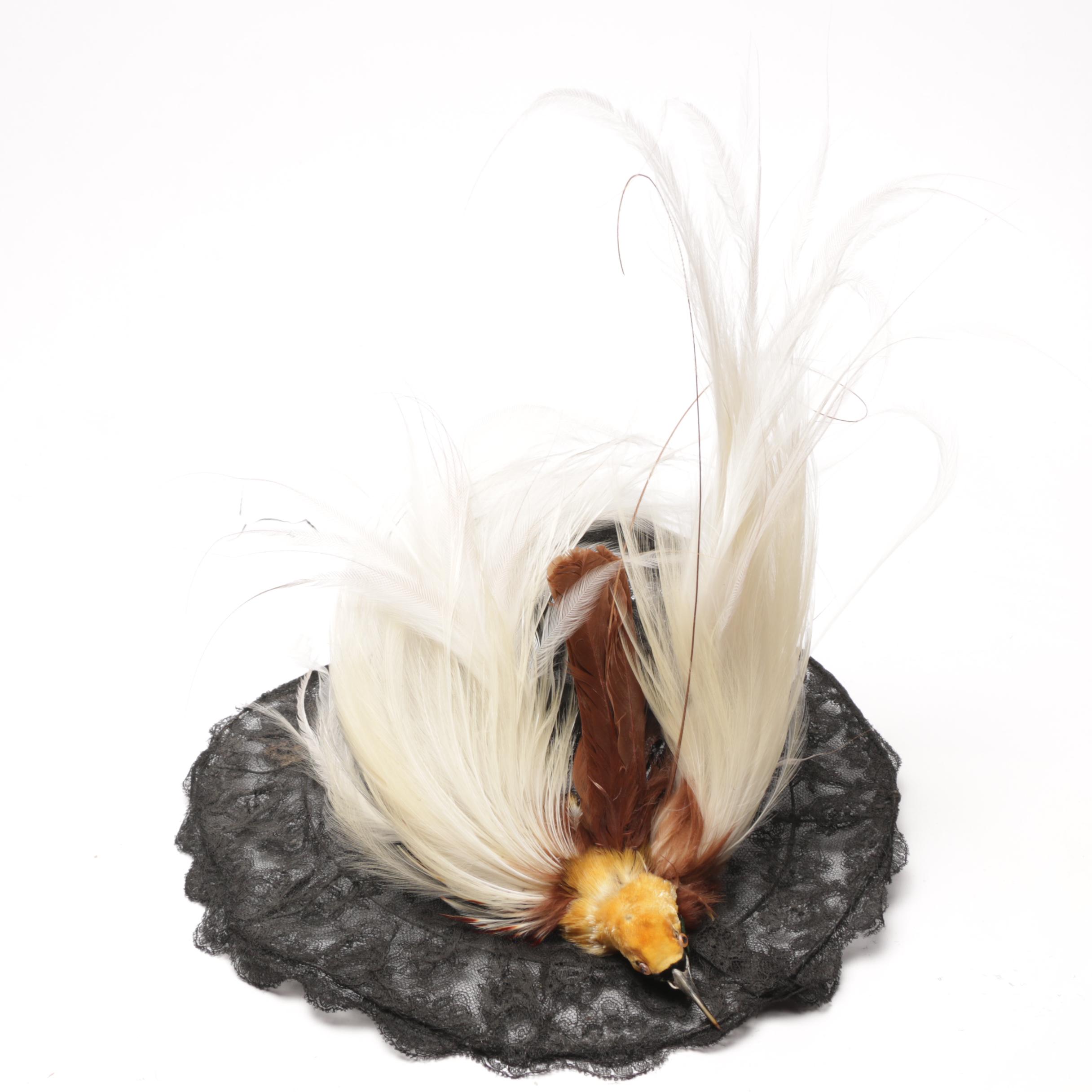 Victorian Hats with Feather Accents and Taxidermy Greater Bird-of-Paradise