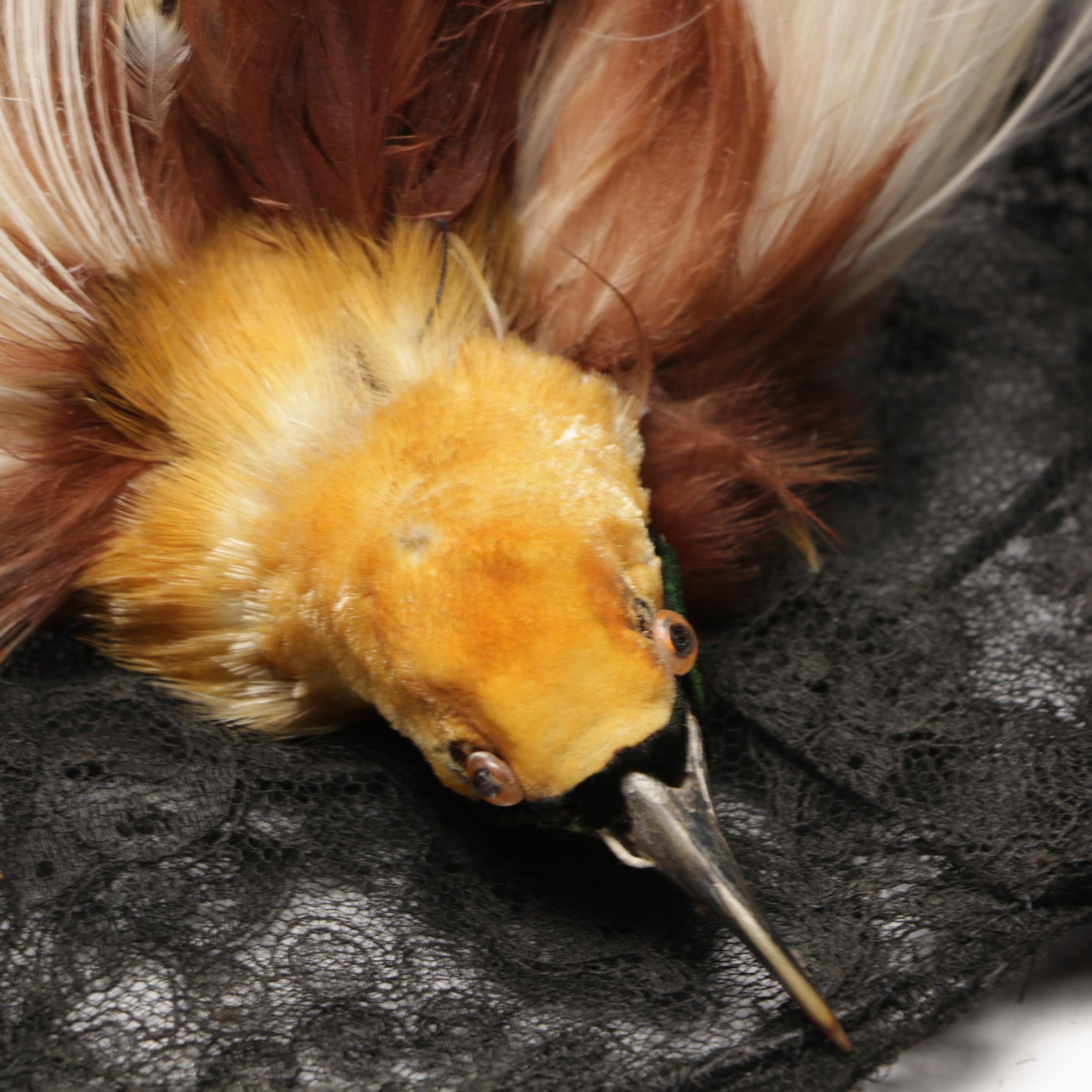 Victorian Hats with Feather Accents and Taxidermy Greater Bird-of-Paradise