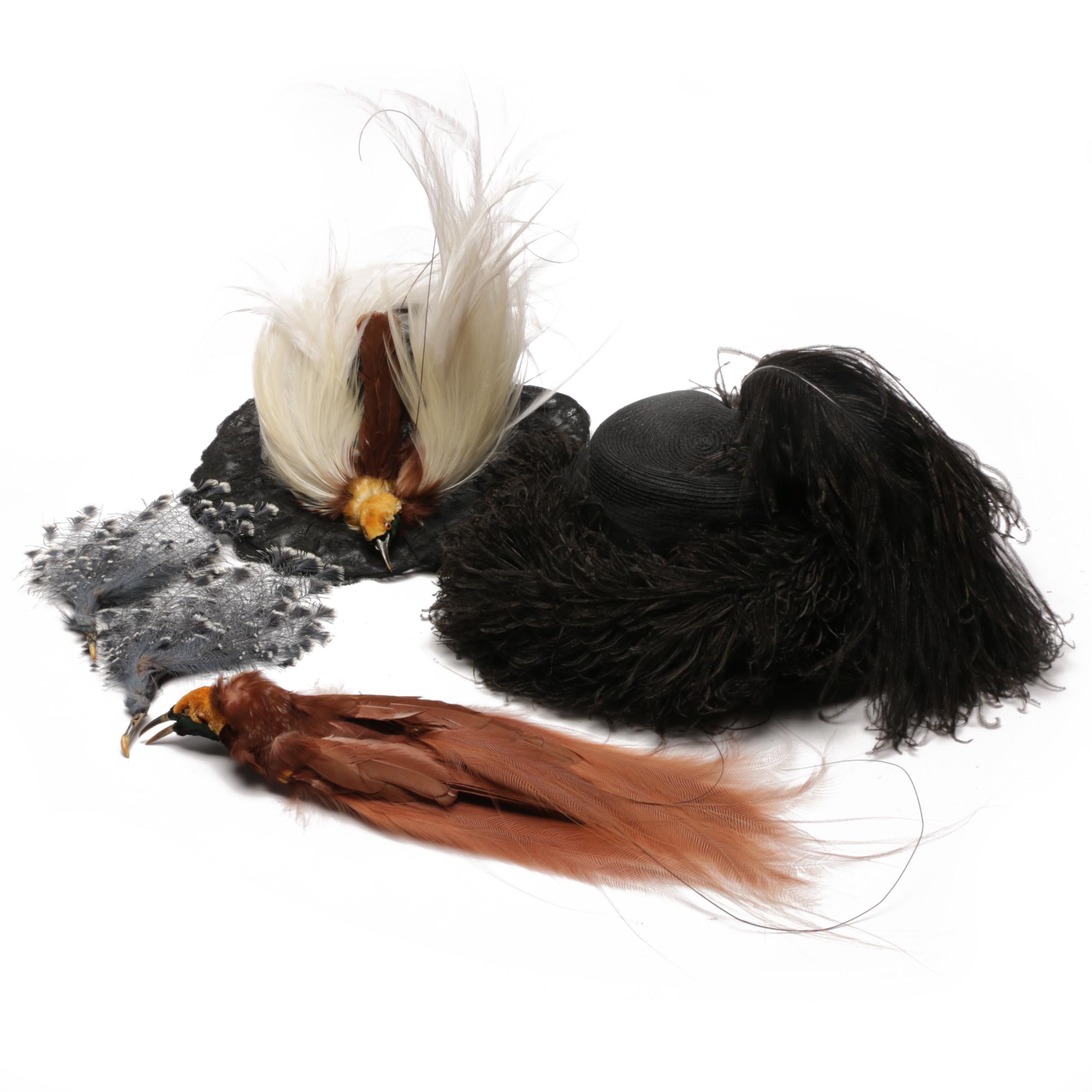 Victorian Hats with Feather Accents and Taxidermy Greater Bird-of-Paradise