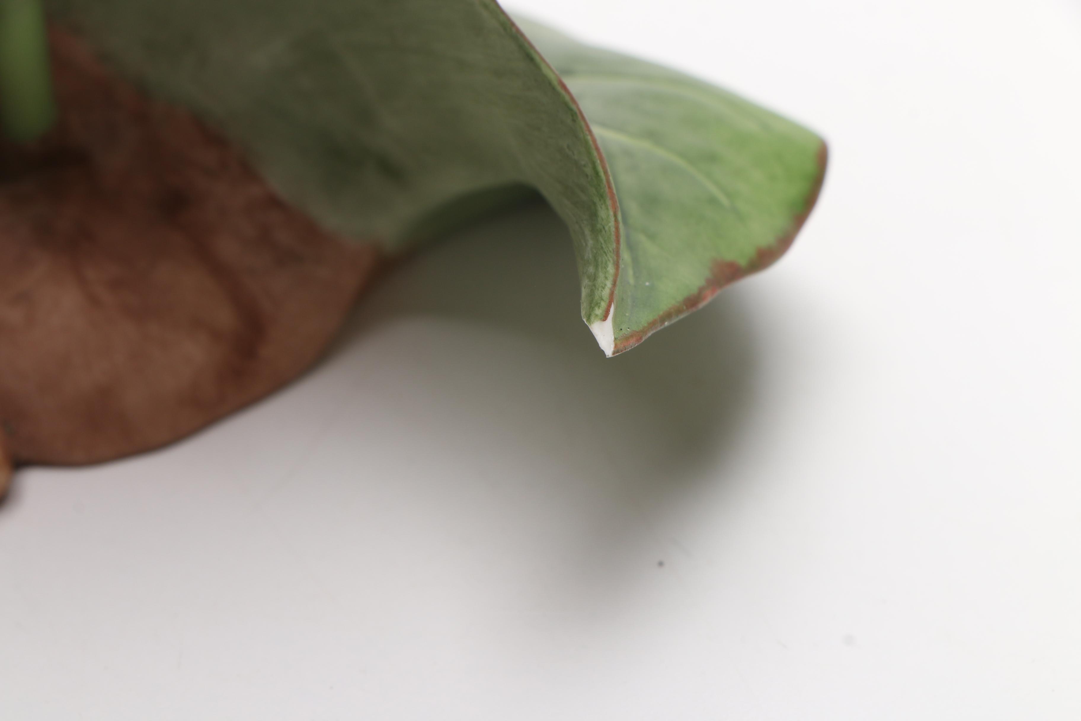 Two Boehm Vintage Porcelain "Anthurium" Flower Sculptures