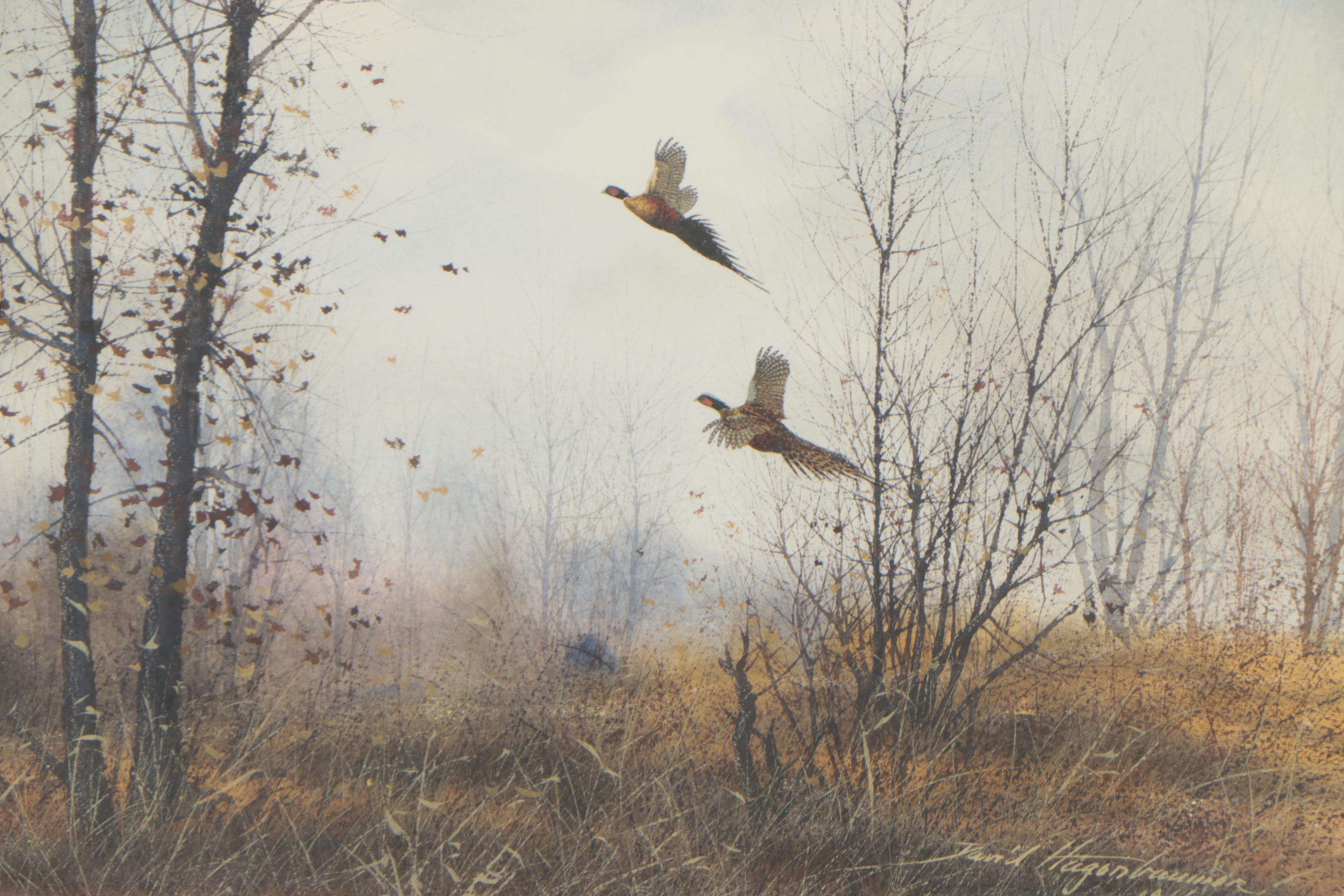 David Hagerbaumer Watercolor Painting "Ringnecks"