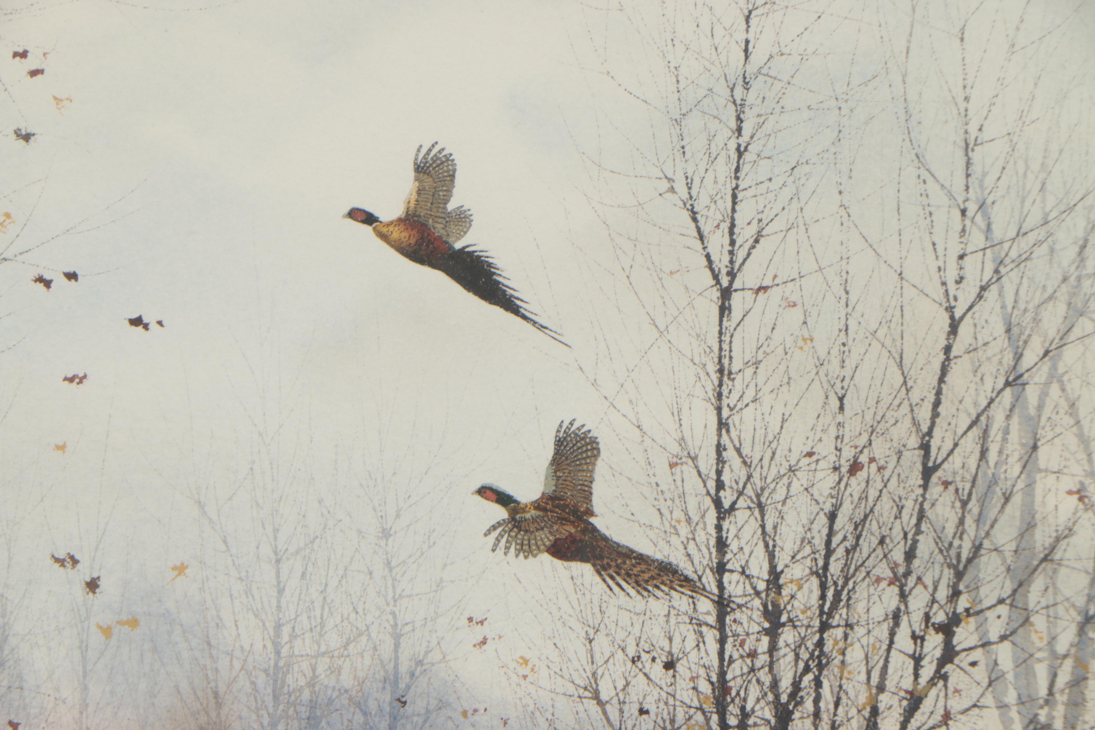 David Hagerbaumer Watercolor Painting "Ringnecks"