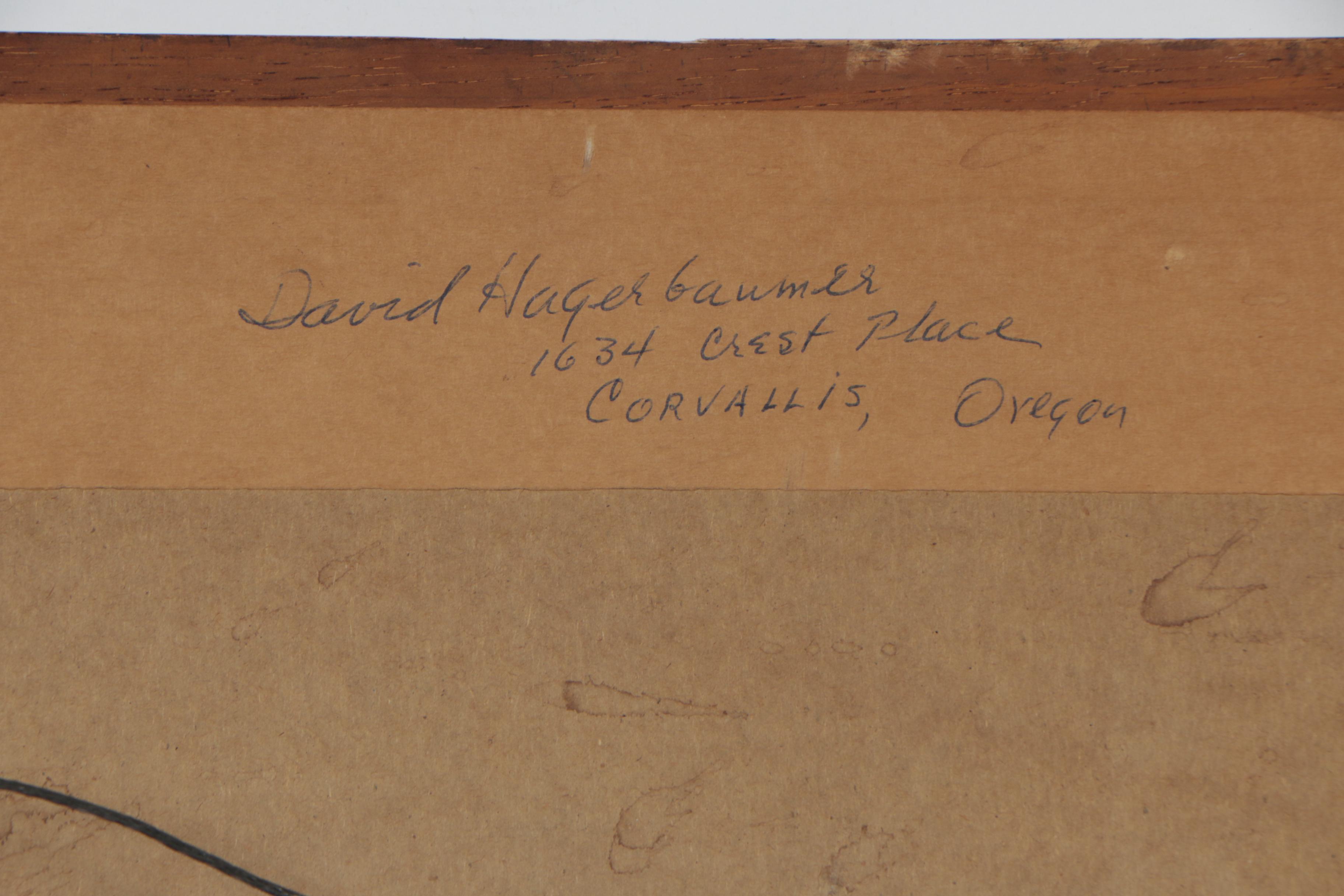 David Hagerbaumer Watercolor Painting "Ringnecks"