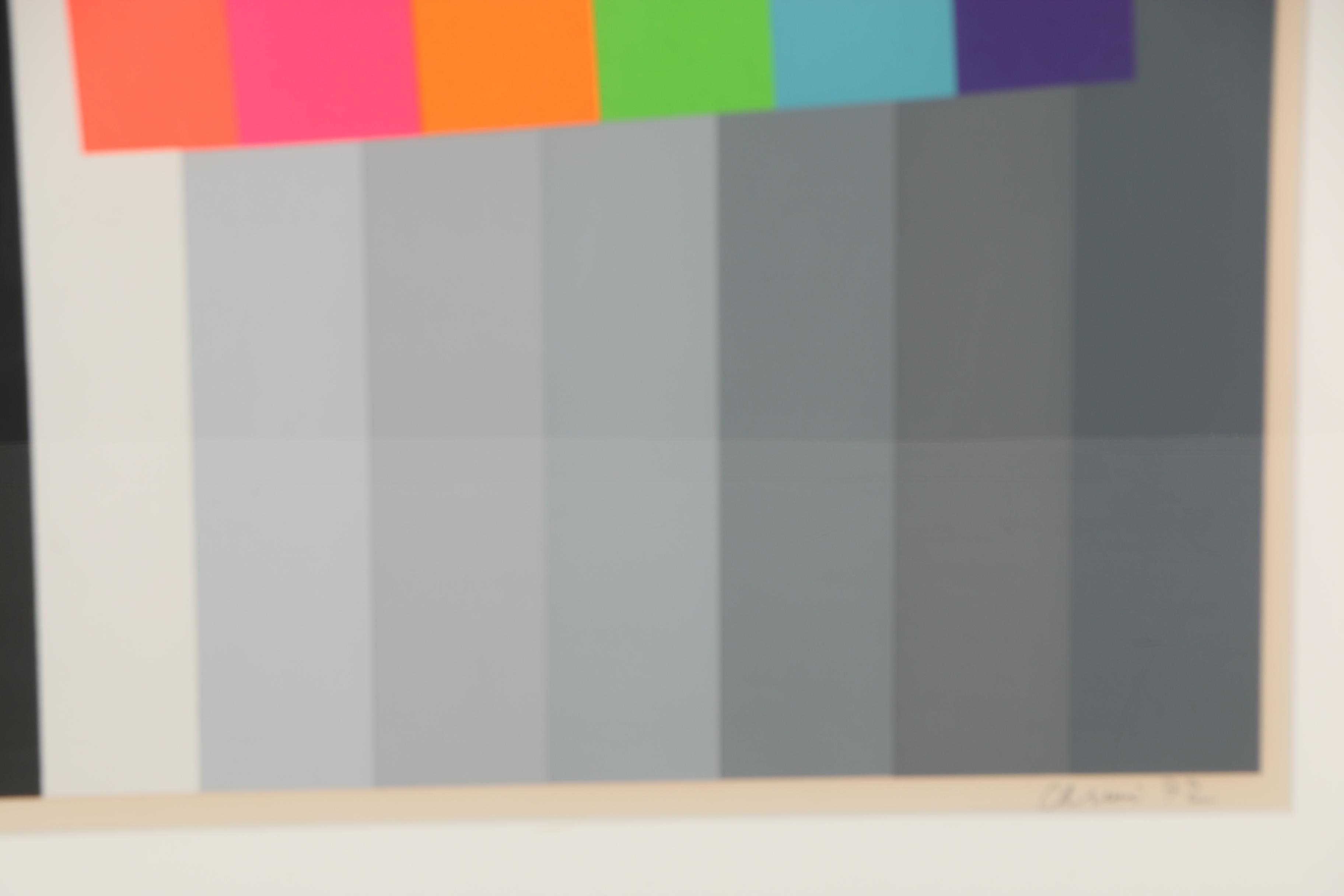 Eugenio Carmi Serigraph