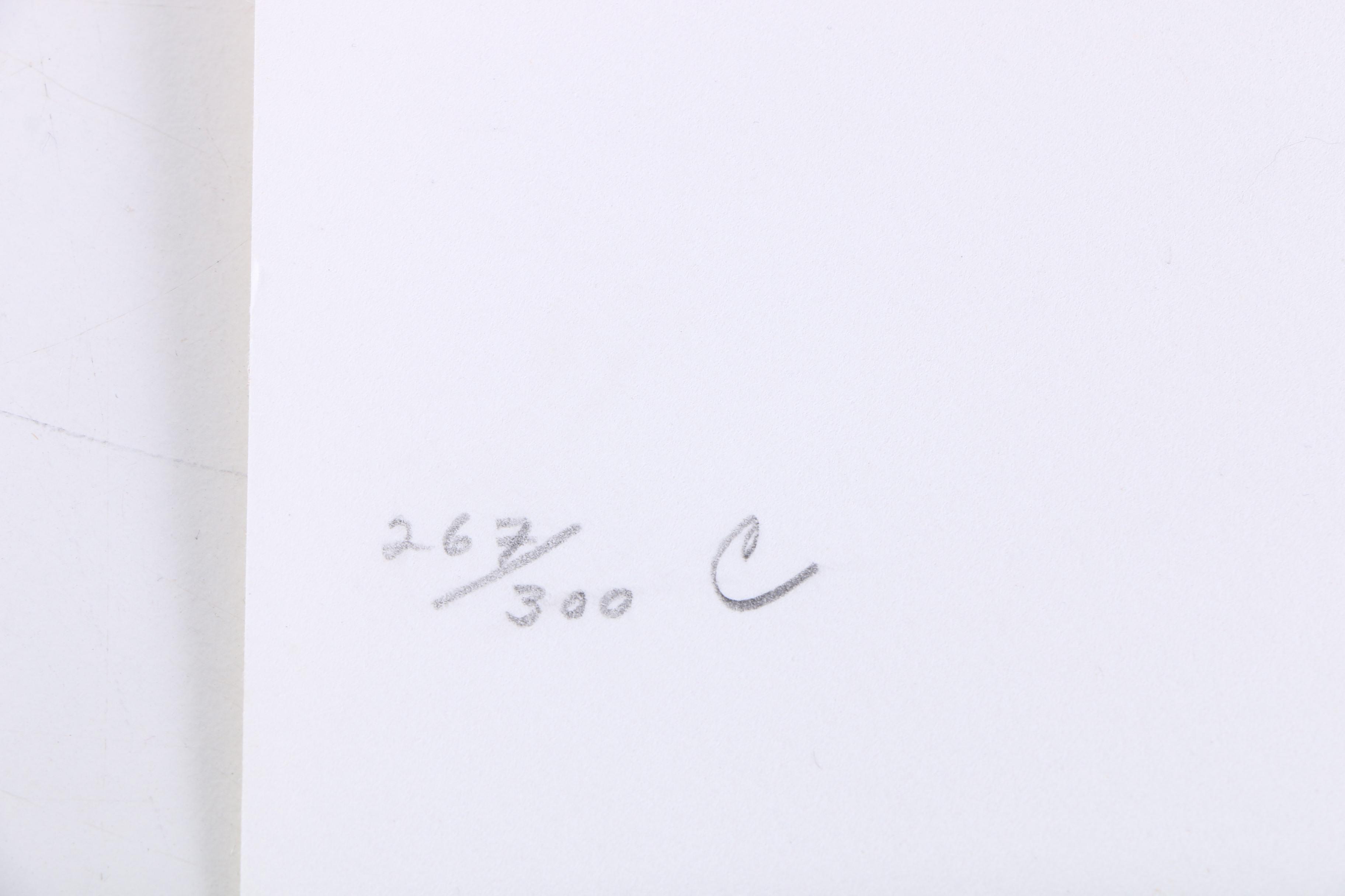 Patricia Hagstom Serigraphs "Magnolia Blossoms" Series