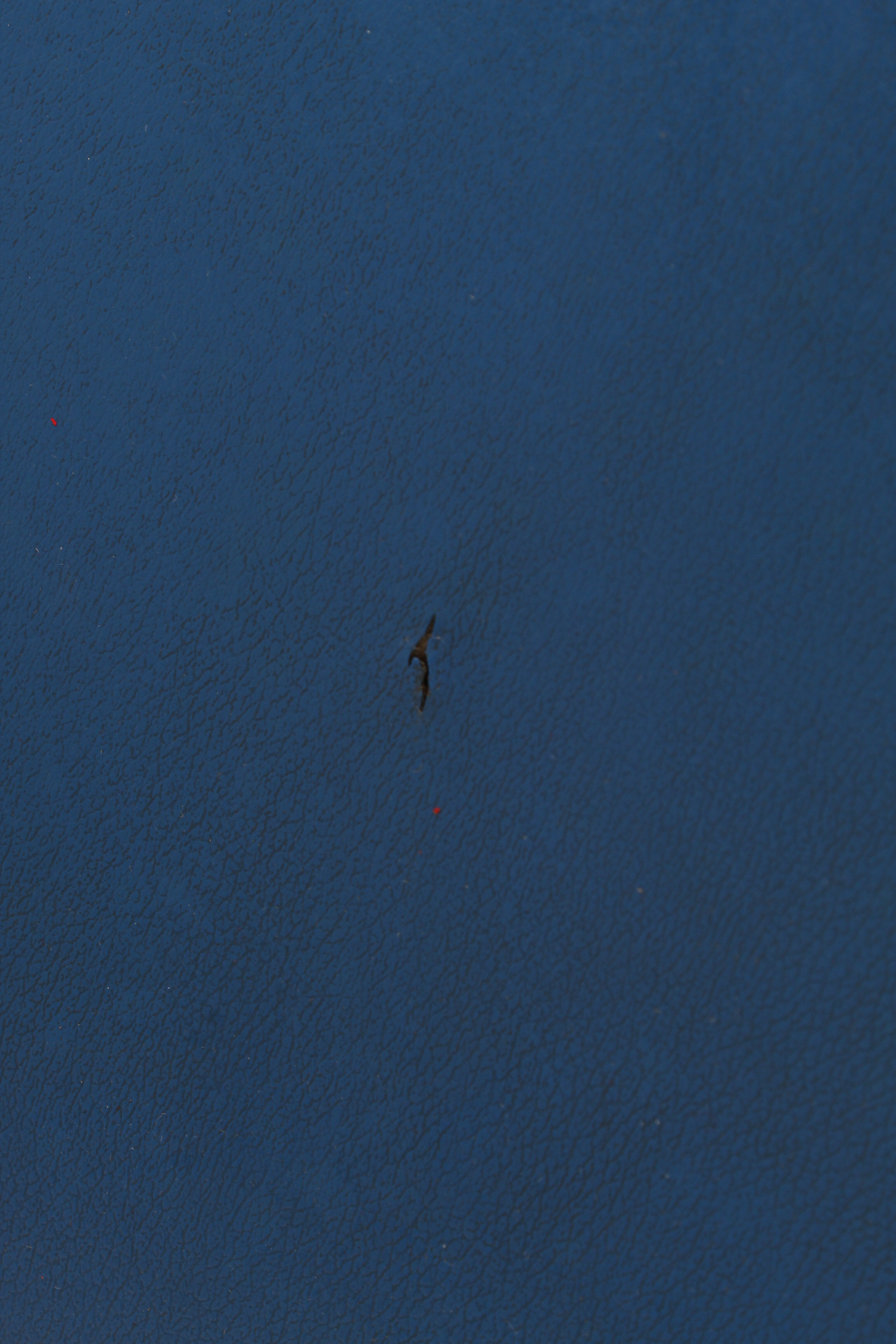 Mid Century Bentwood Chairs