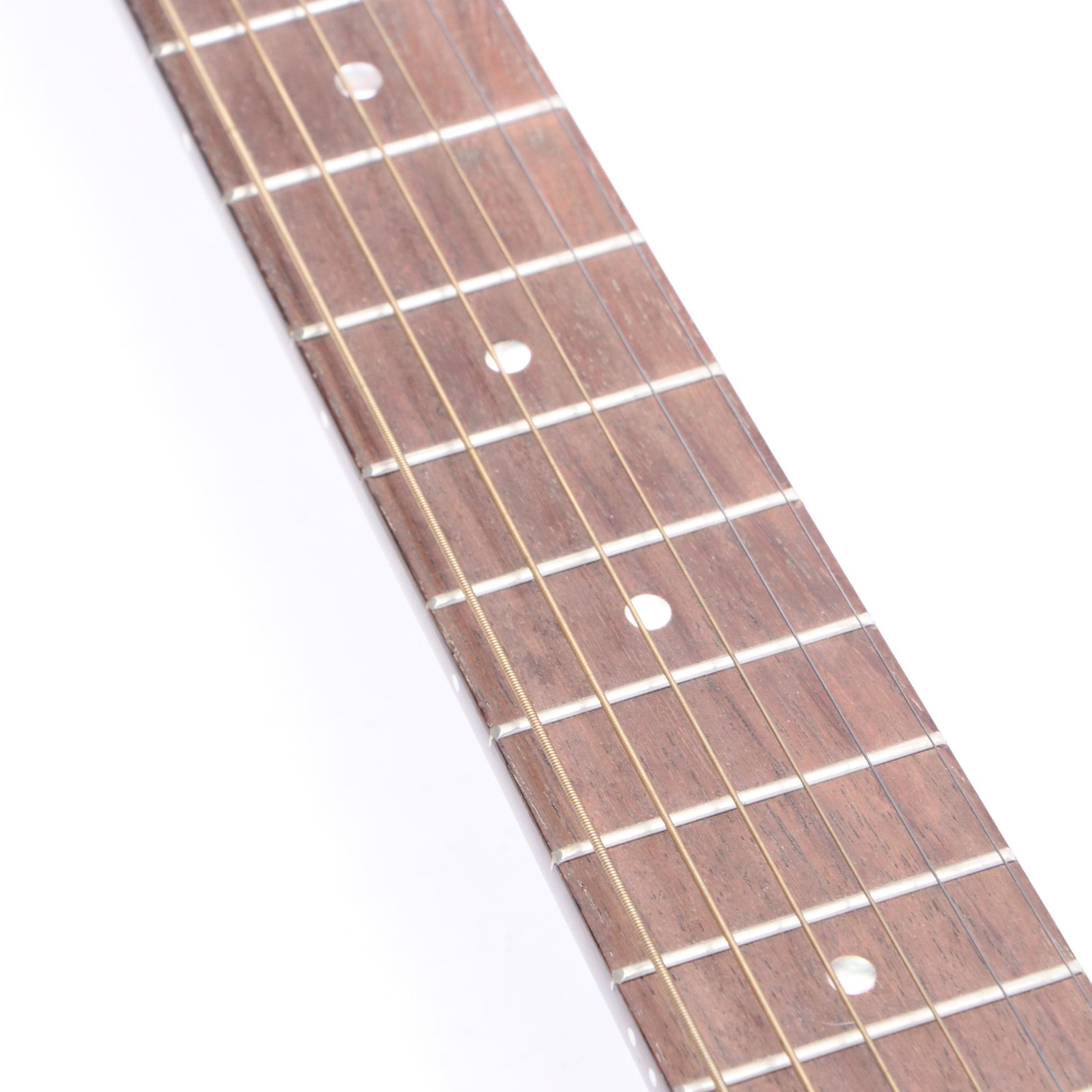 Johnson Axl-998 All-Metal Resonator 6-String Guitar