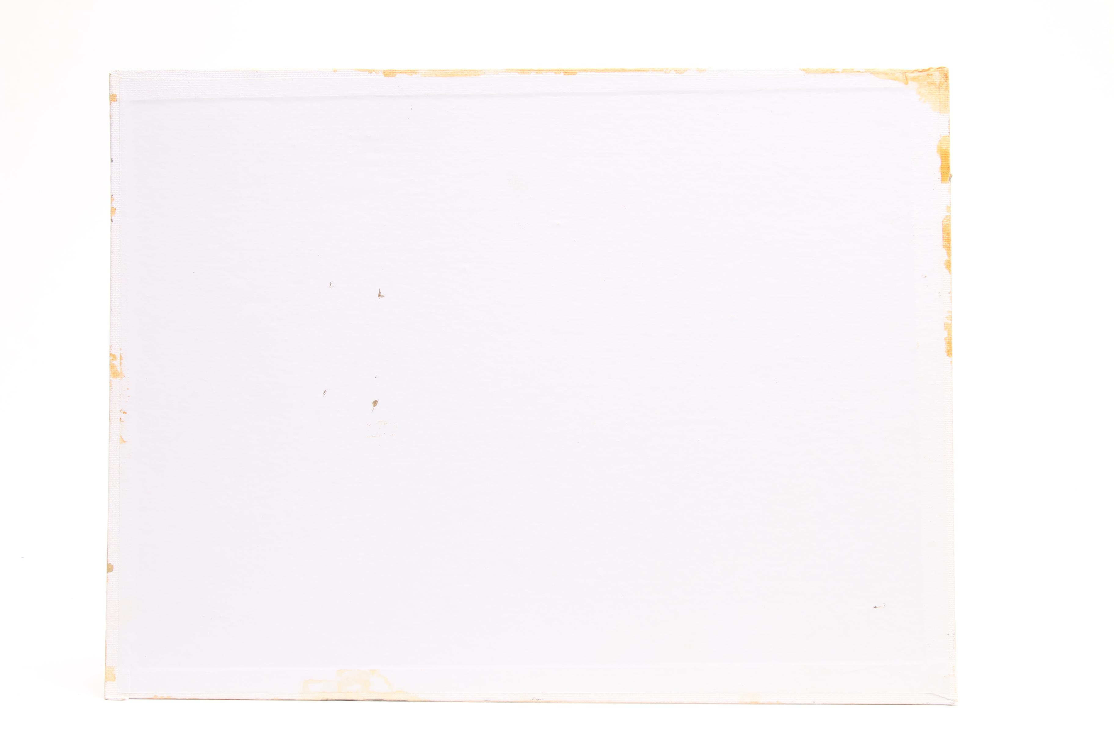 David Andrews Oil Painting of Two Swans