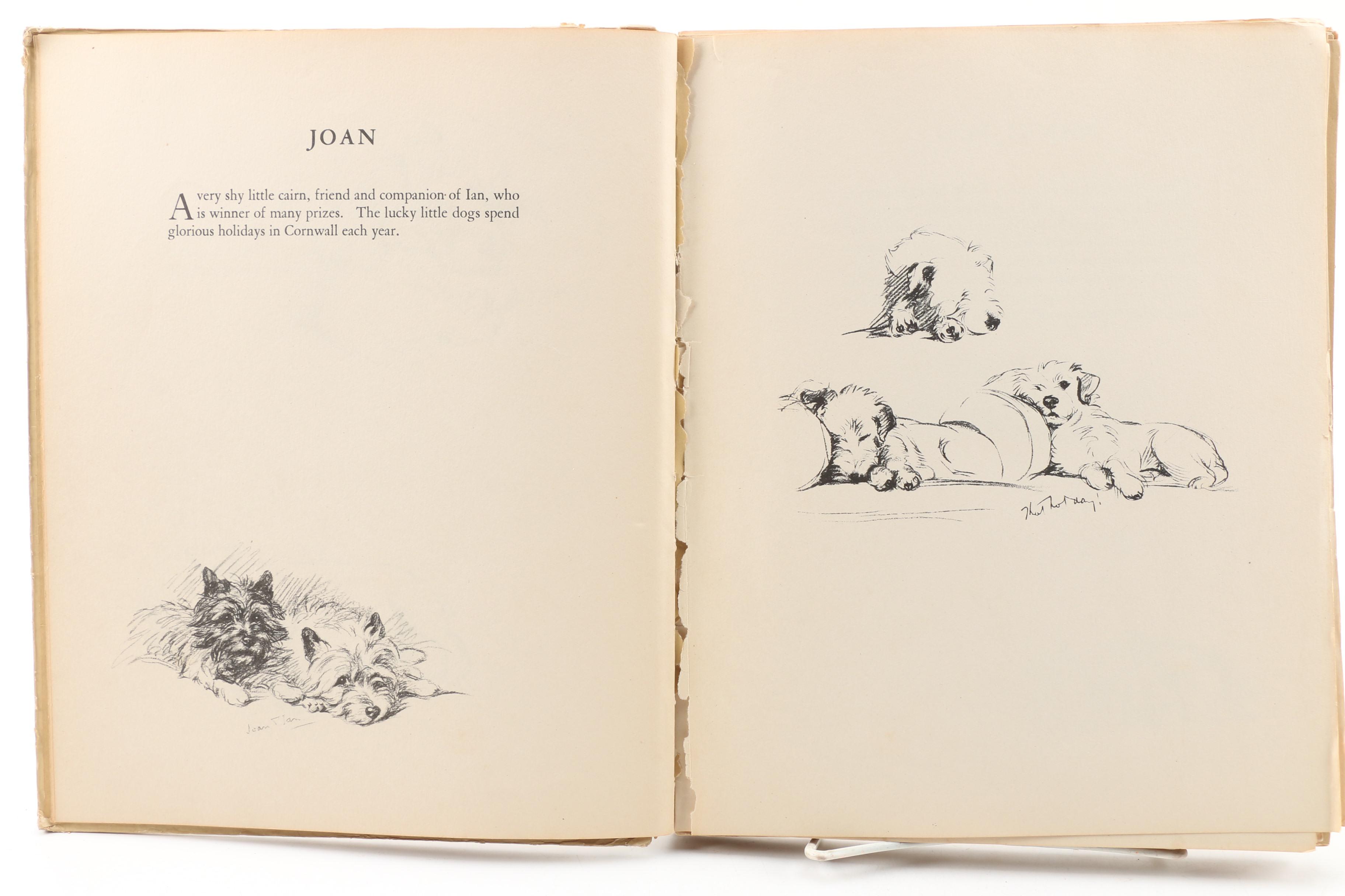 Dog Illustration Books and Art Including Lucy Dawson and Diana Thorne