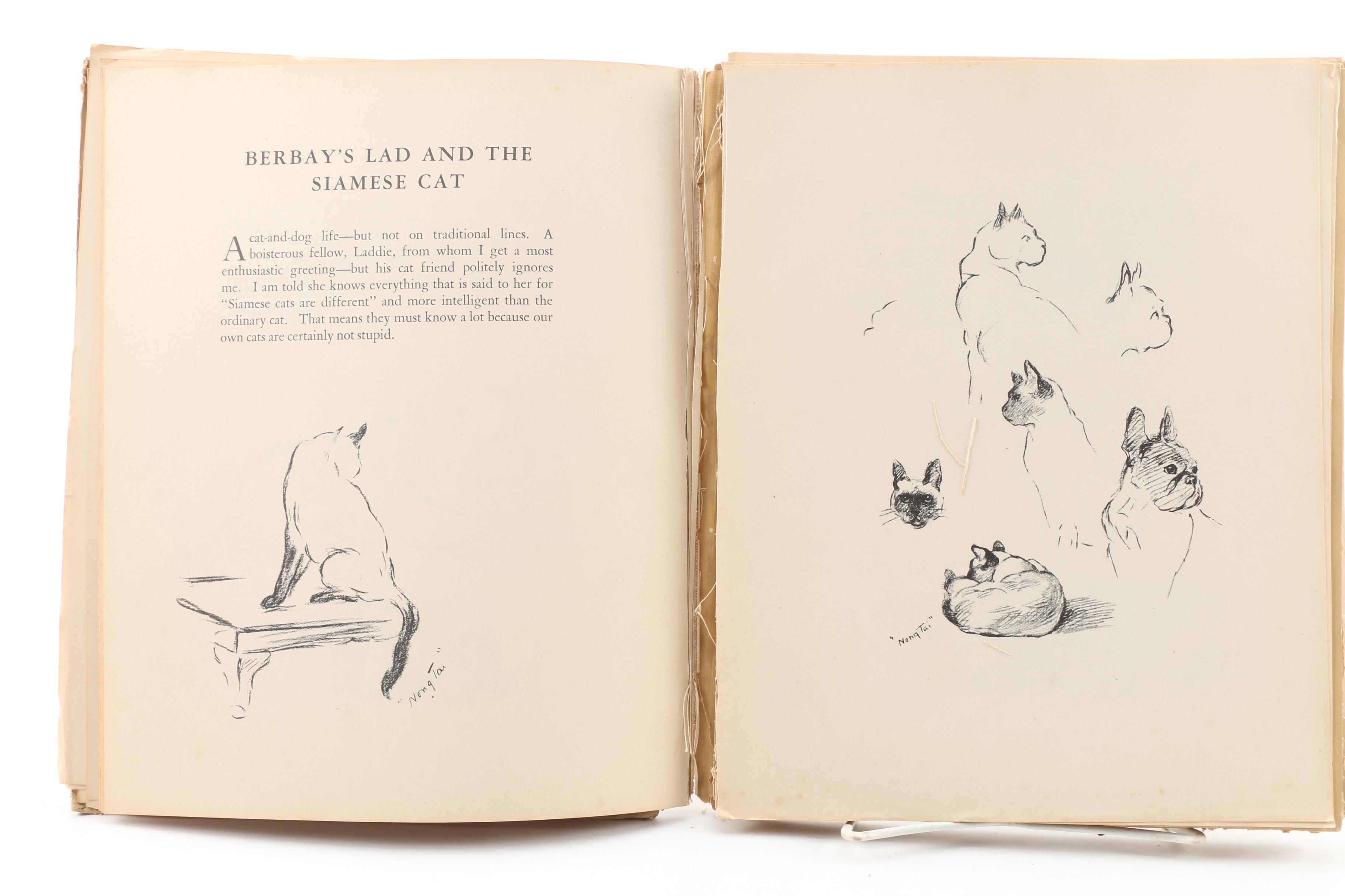 Dog Illustration Books and Art Including Lucy Dawson and Diana Thorne