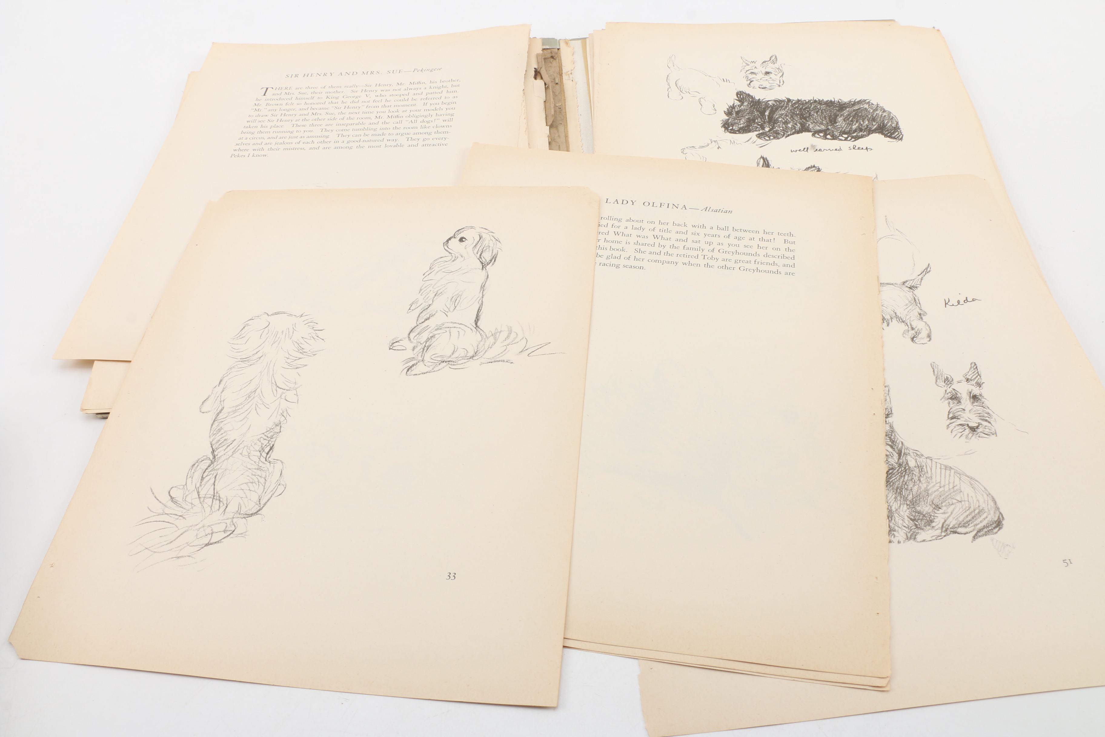 Dog Illustration Books and Art Including Lucy Dawson and Diana Thorne