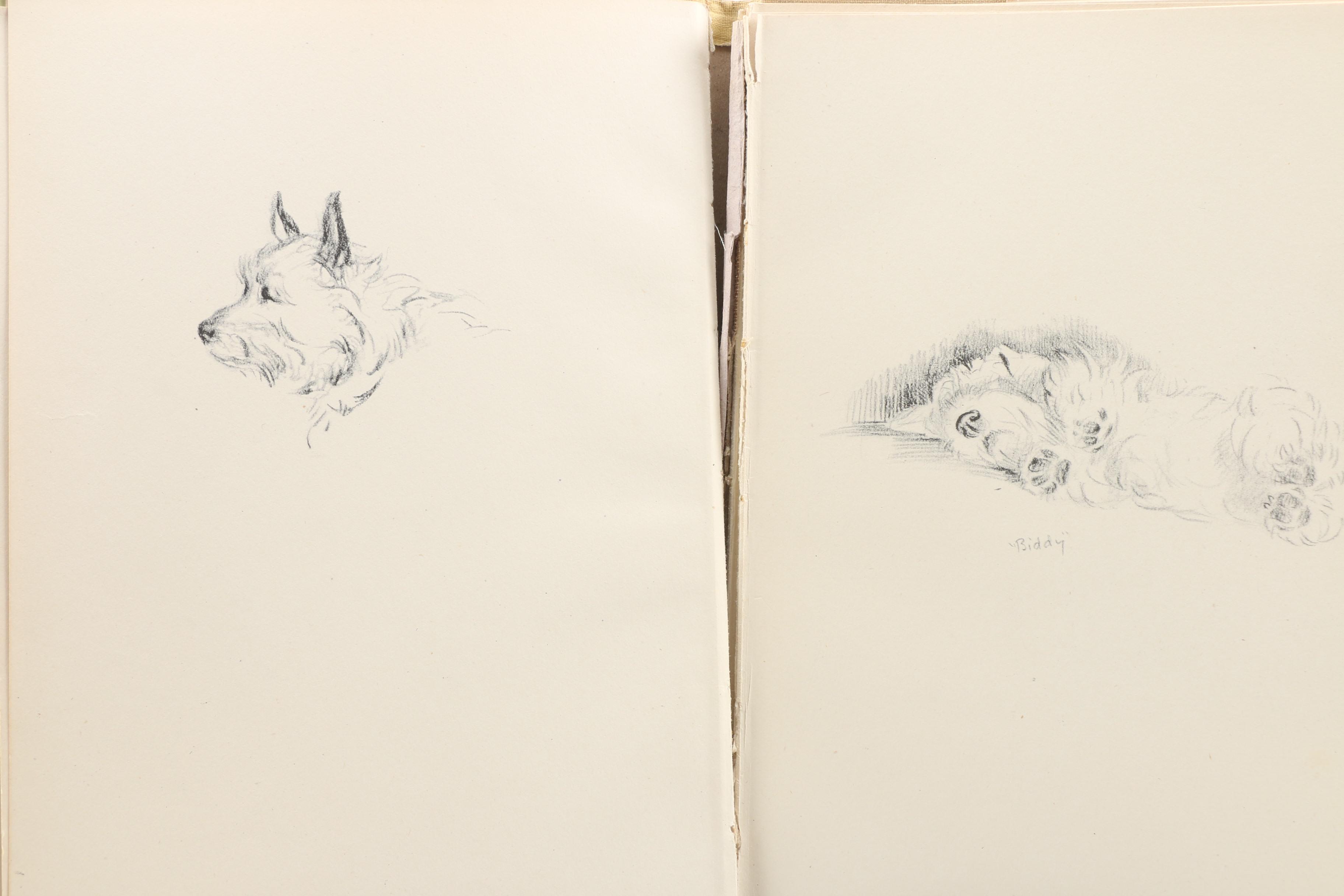 Dog Illustration Books and Art Including Lucy Dawson and Diana Thorne