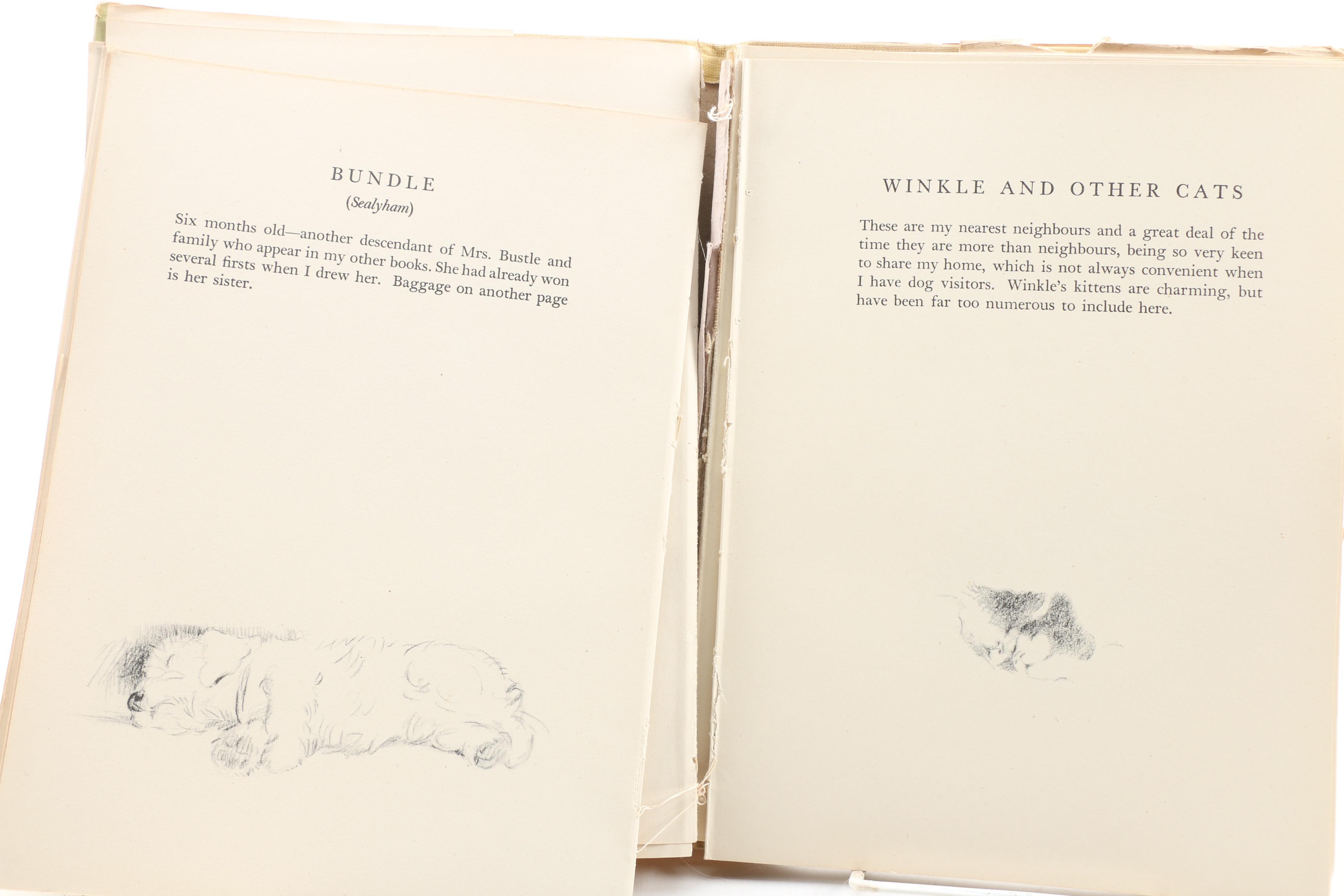 Dog Illustration Books and Art Including Lucy Dawson and Diana Thorne