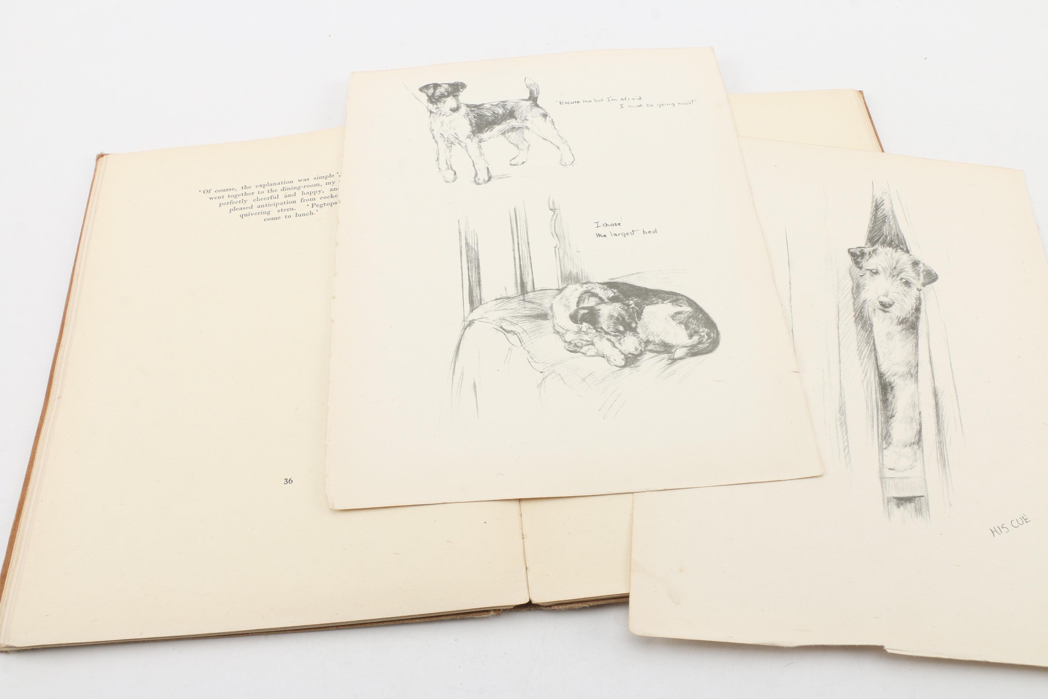 Dog Illustration Books and Art Including Lucy Dawson and Diana Thorne